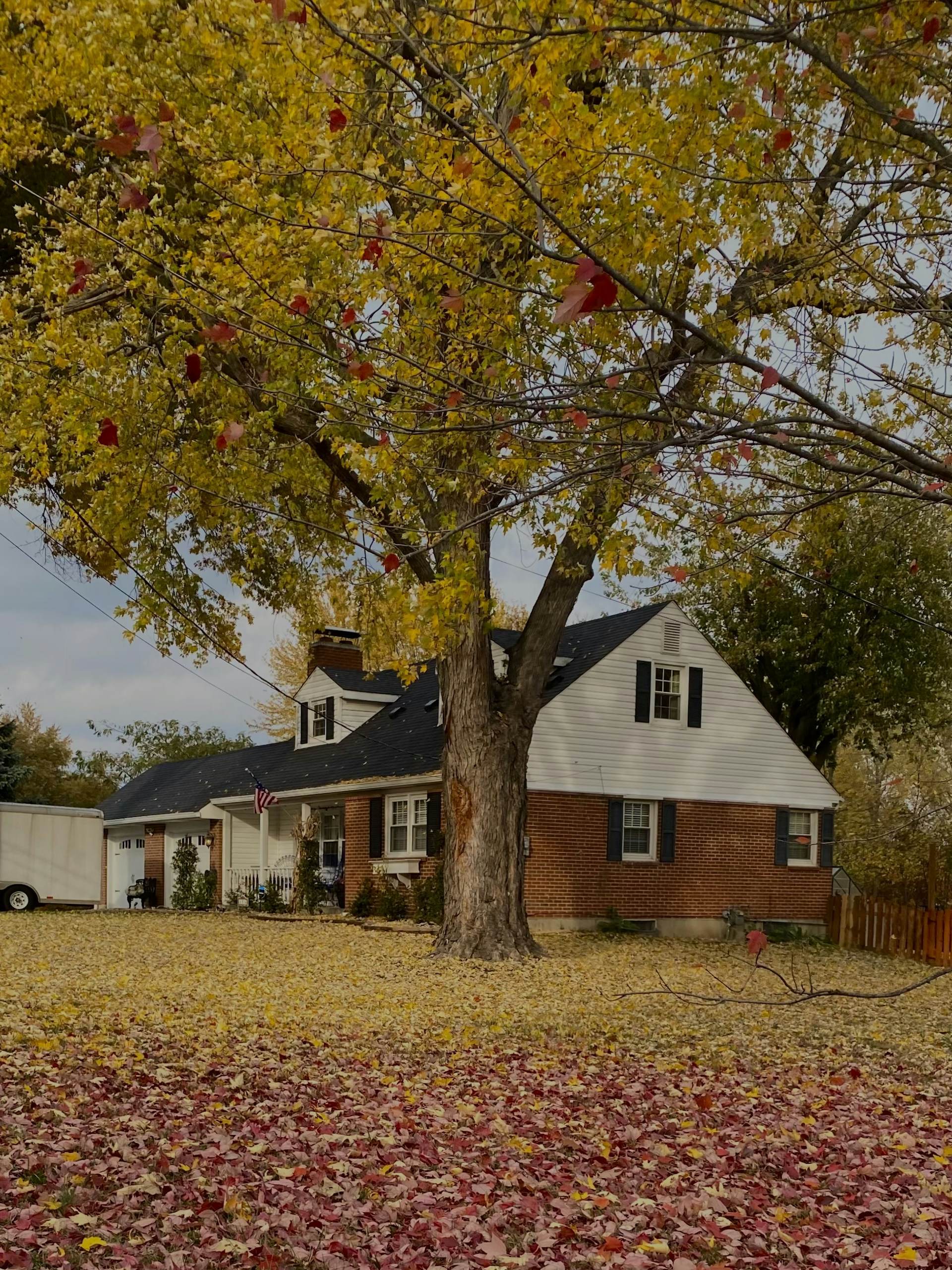 a house with a tree in front of it