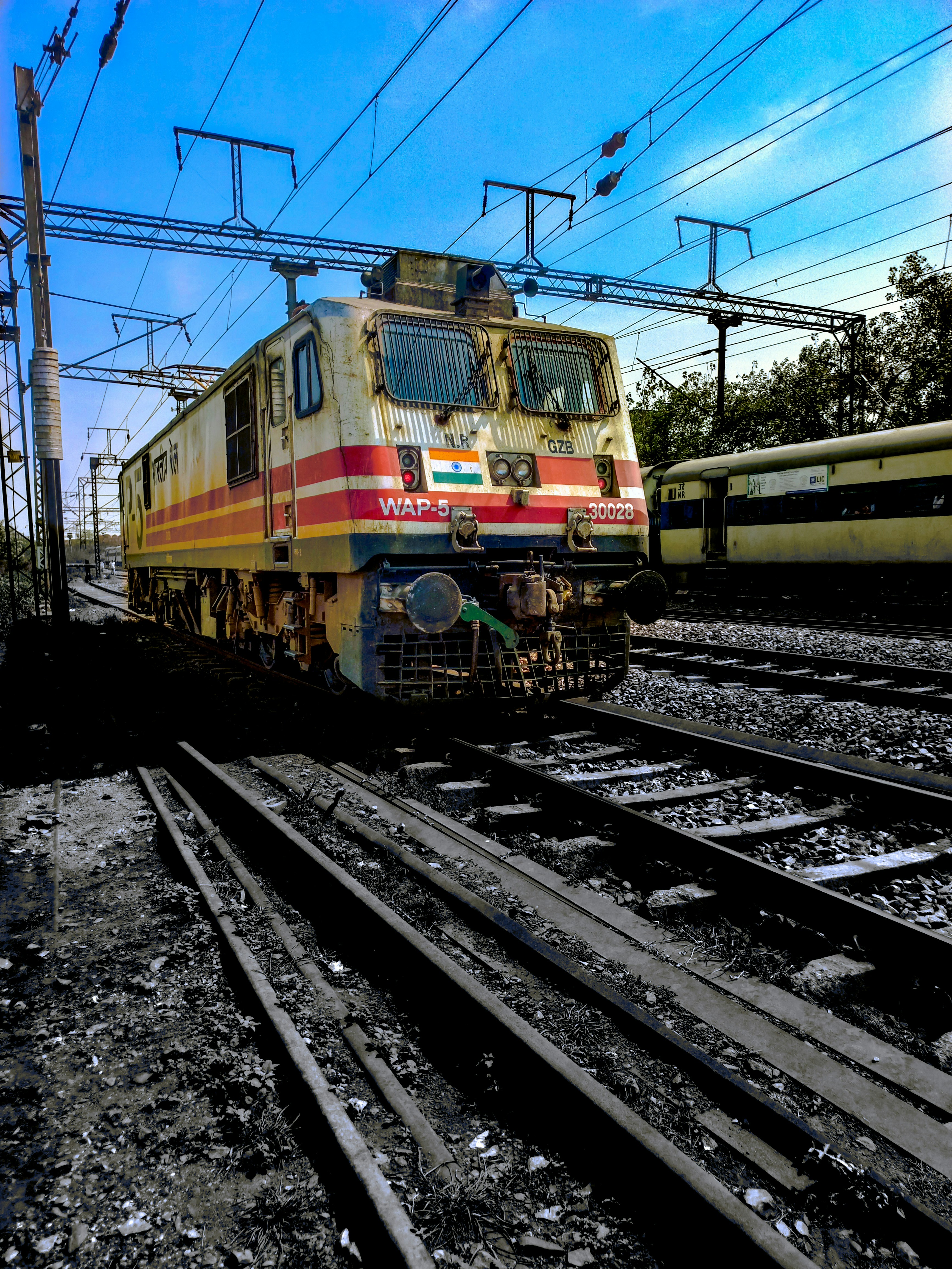 Foto zum Thema Ein Zug, der neben einem Wald die Bahngleise