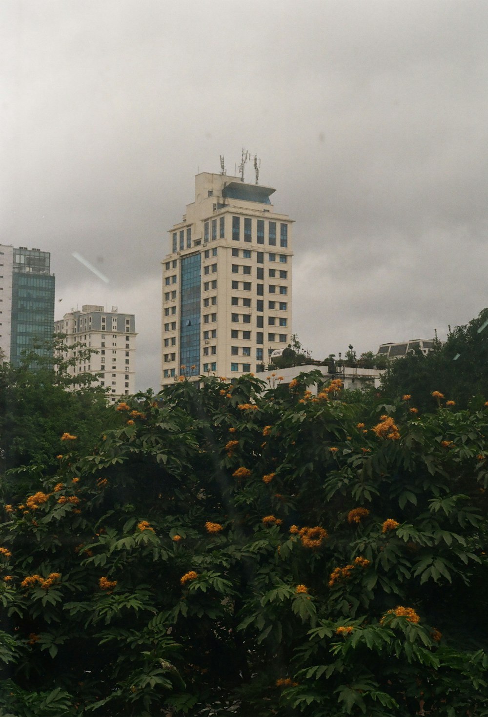 a tall white building sitting next to a lush green forest