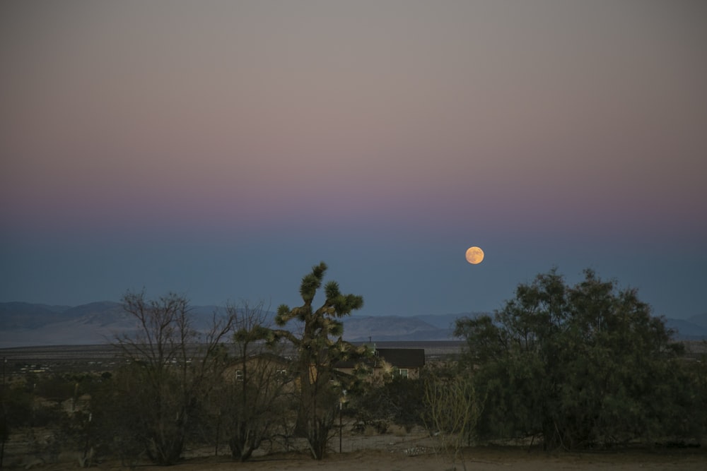 a full moon rises over a desert landscape