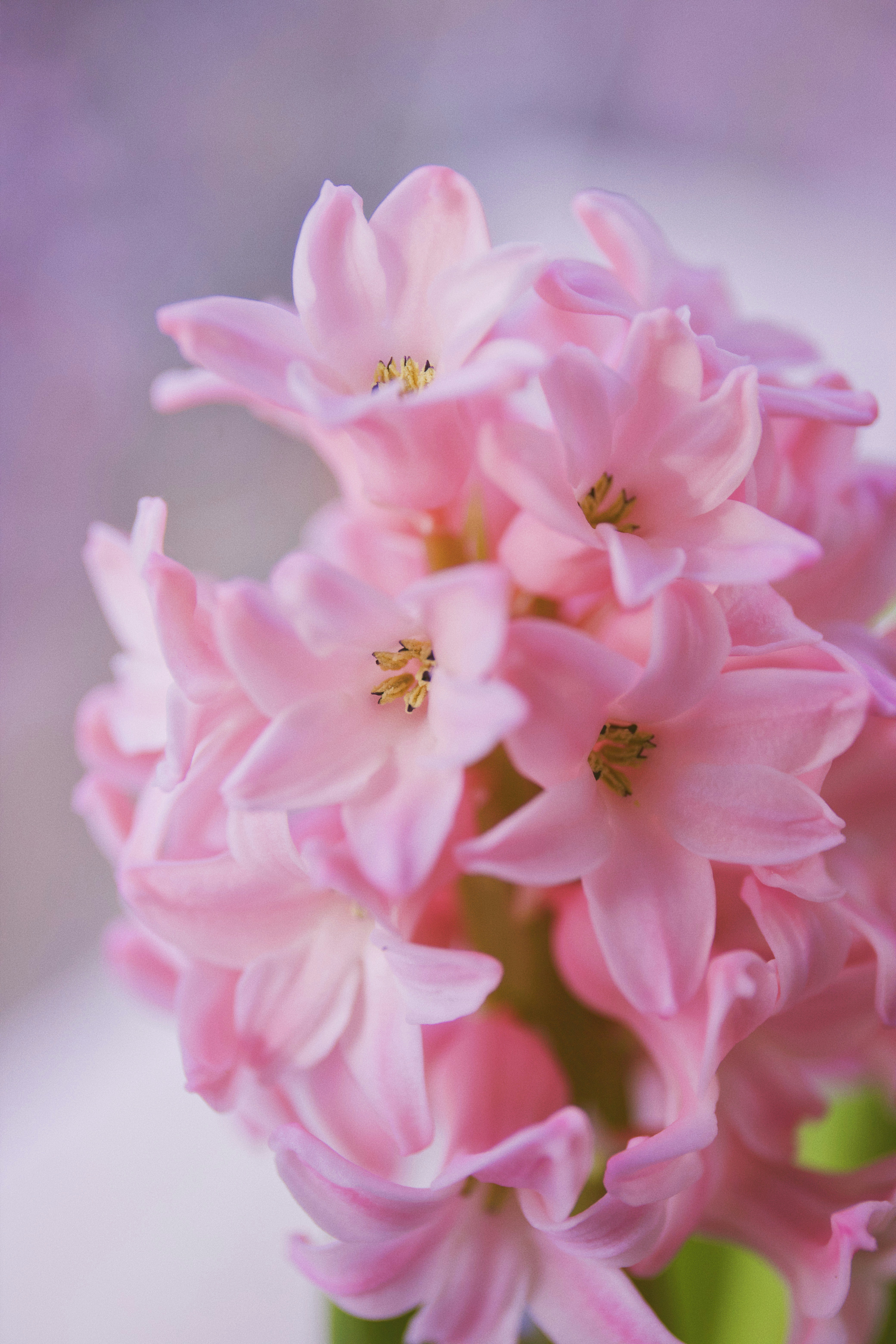 Photo by nutella3012