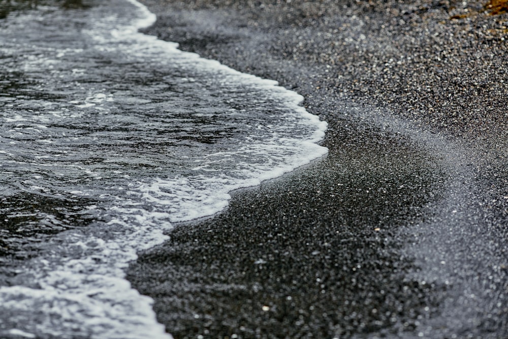 a bird is standing on the beach near the water