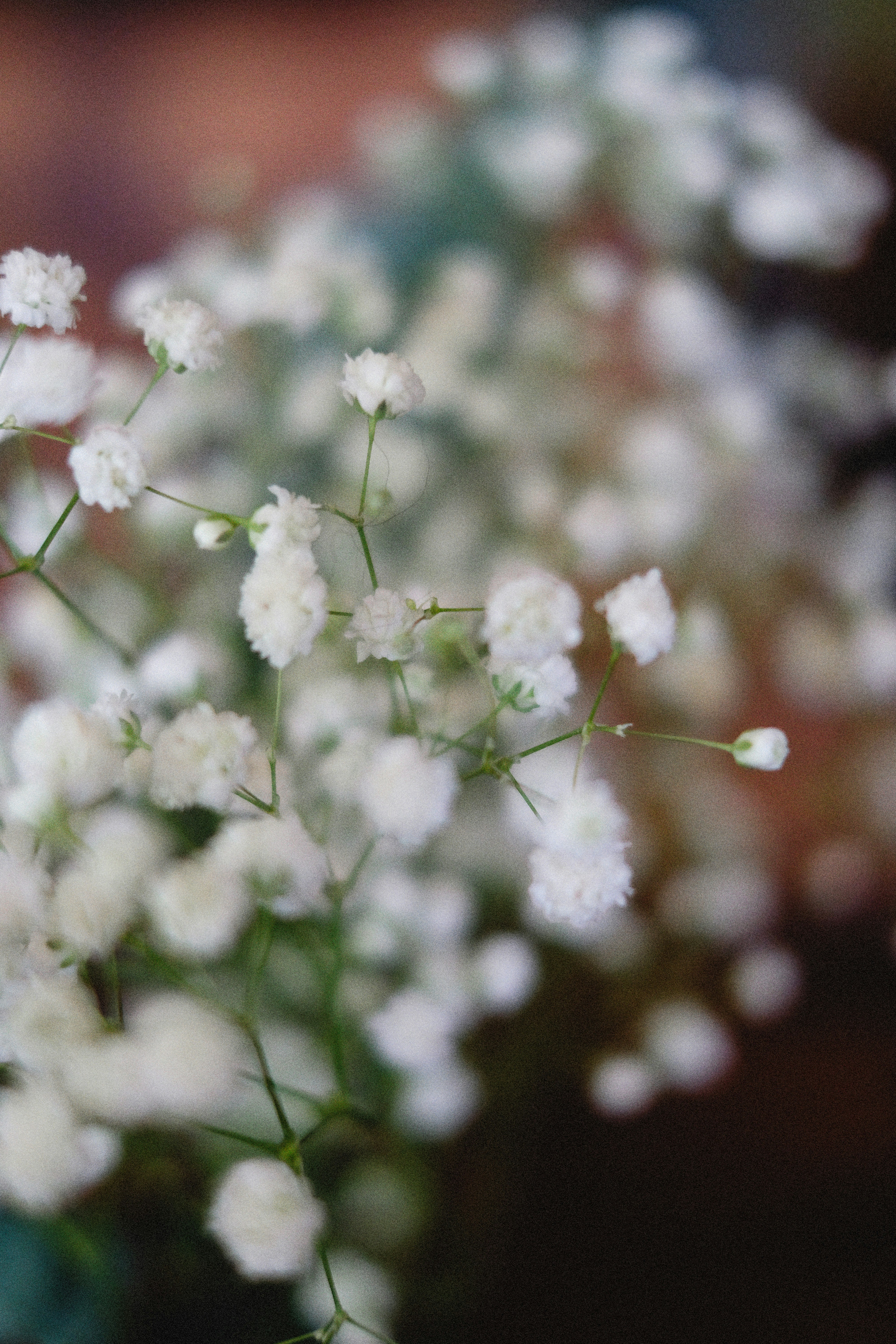 Photo by alexeydemidov