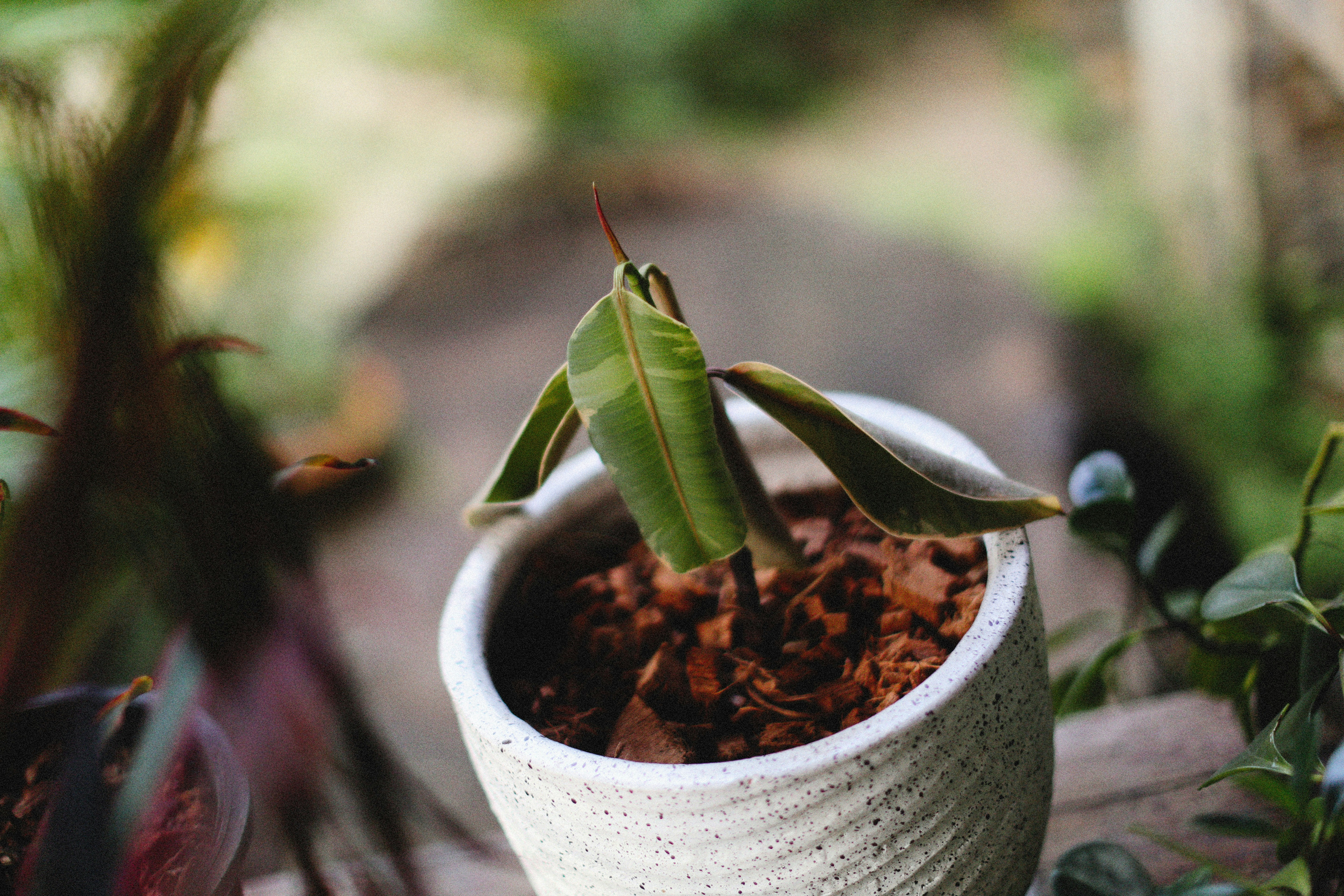 Photo by alexeydemidov