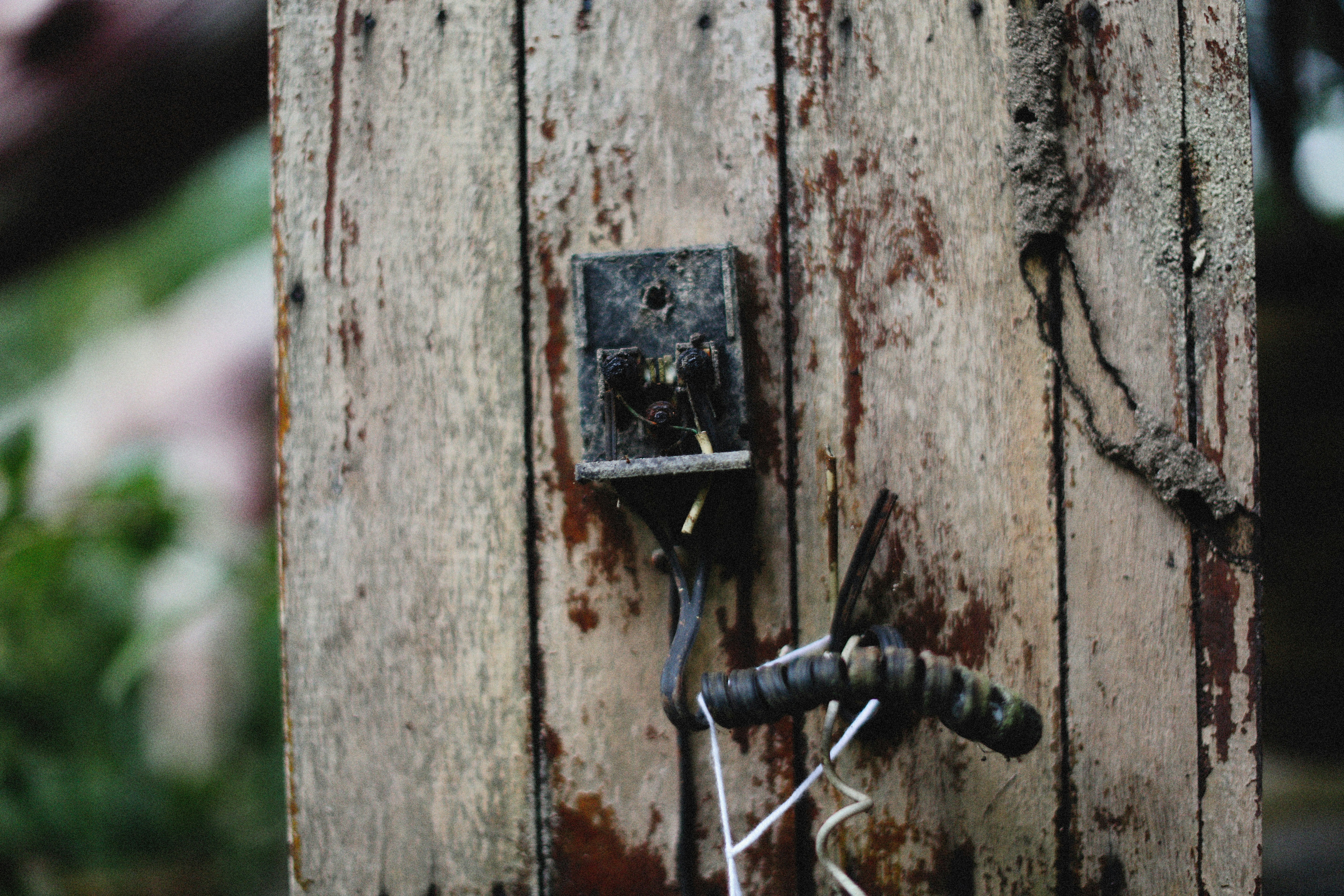 Photo by alexeydemidov