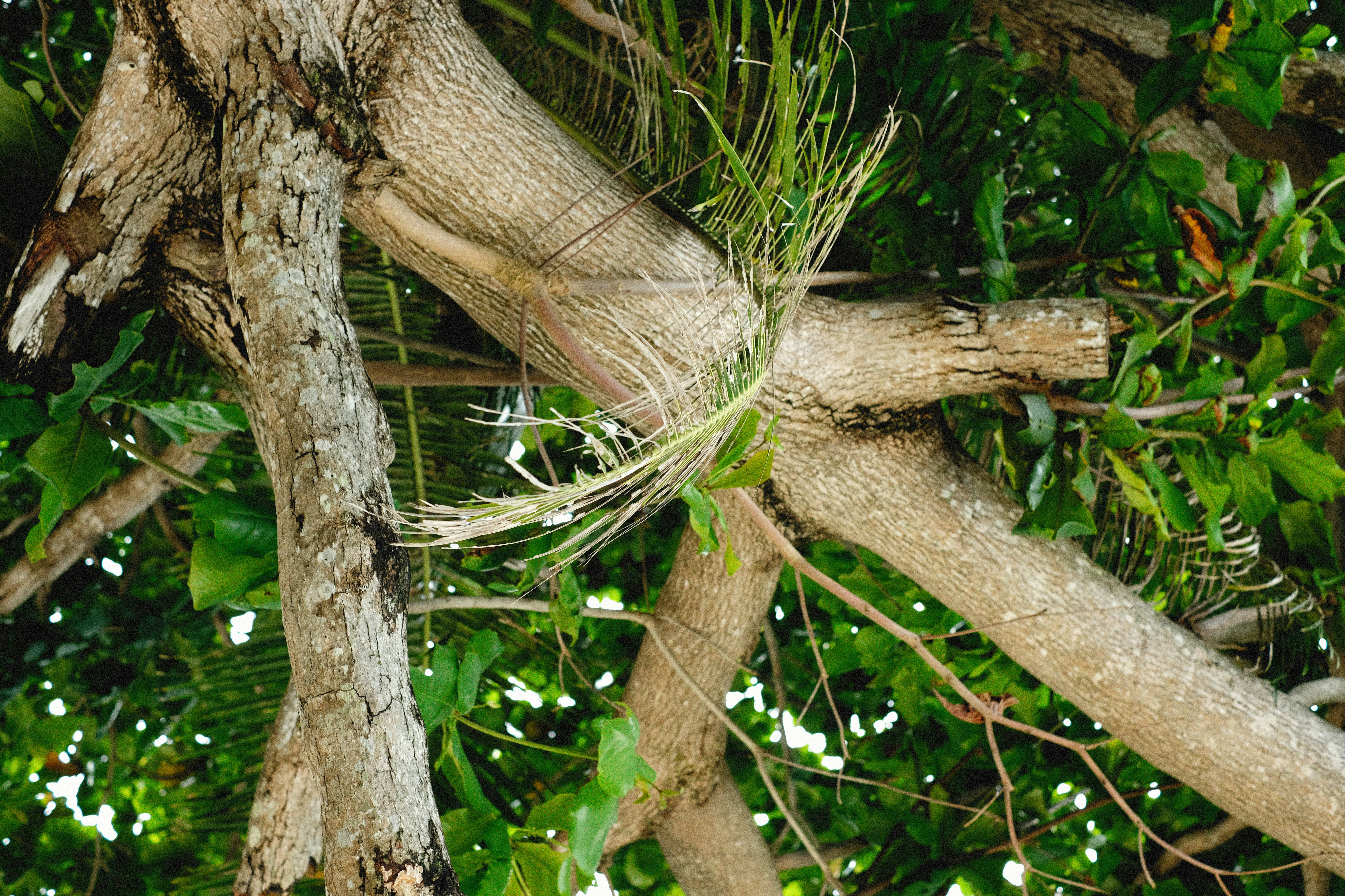 Photo by alexeydemidov