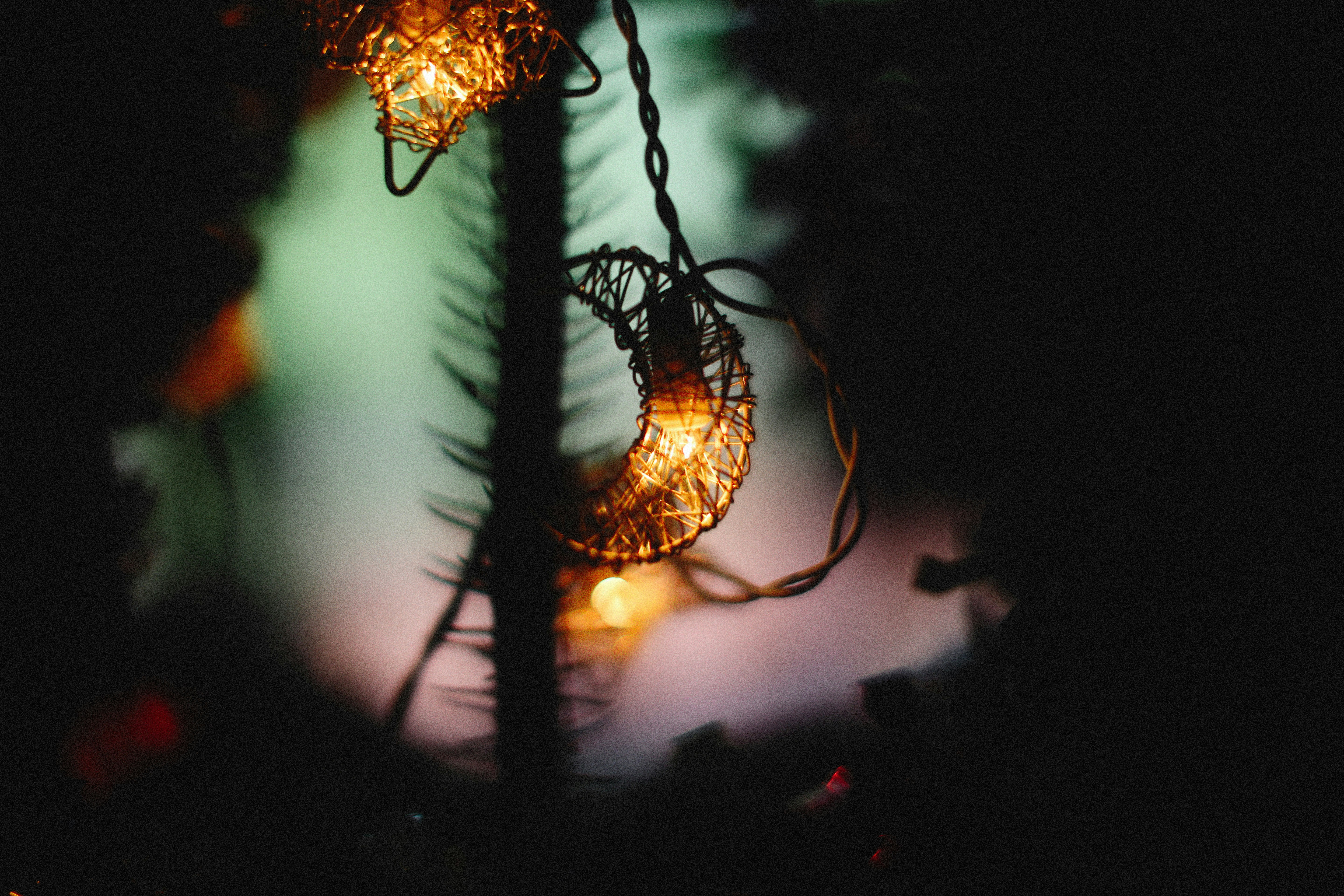 Photo by alexeydemidov