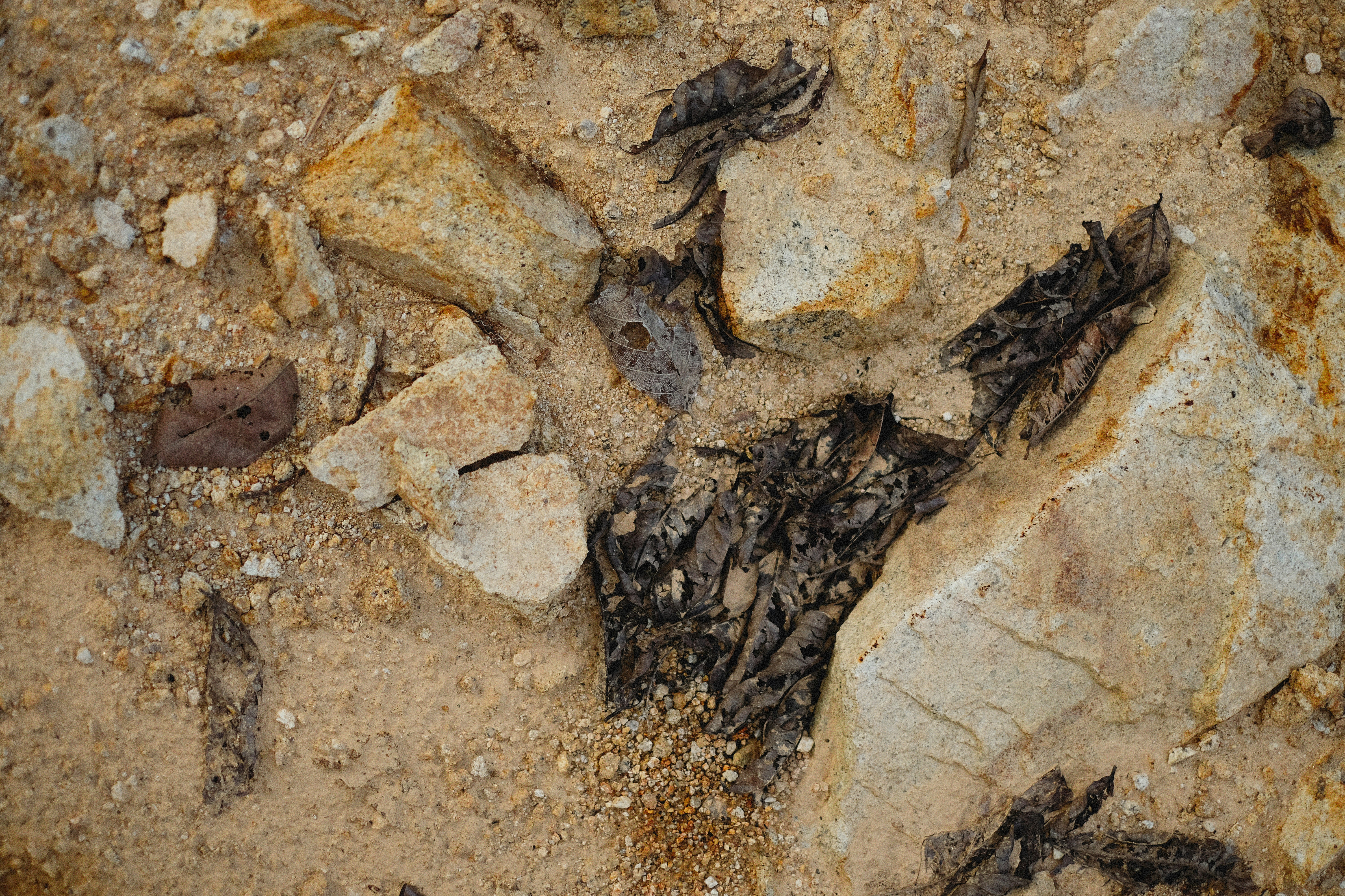 Photo by alexeydemidov