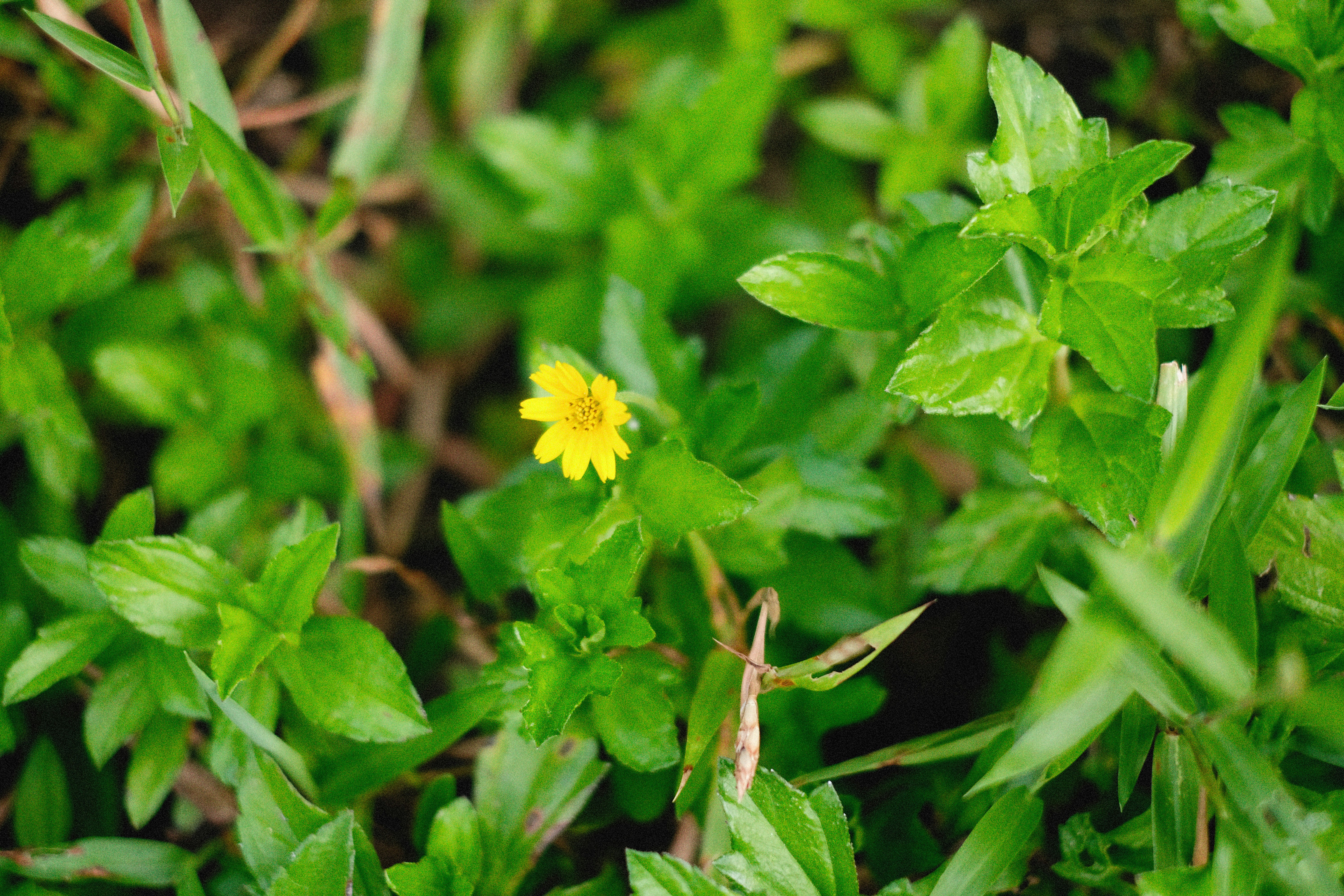 Photo by alexeydemidov