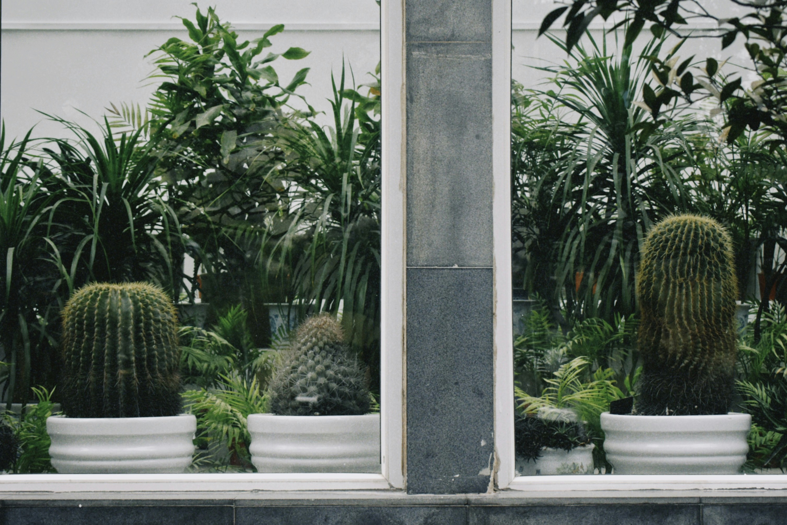 Photo by shimwerthle