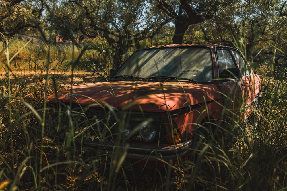 an old rusted car sits in a field of tall grass