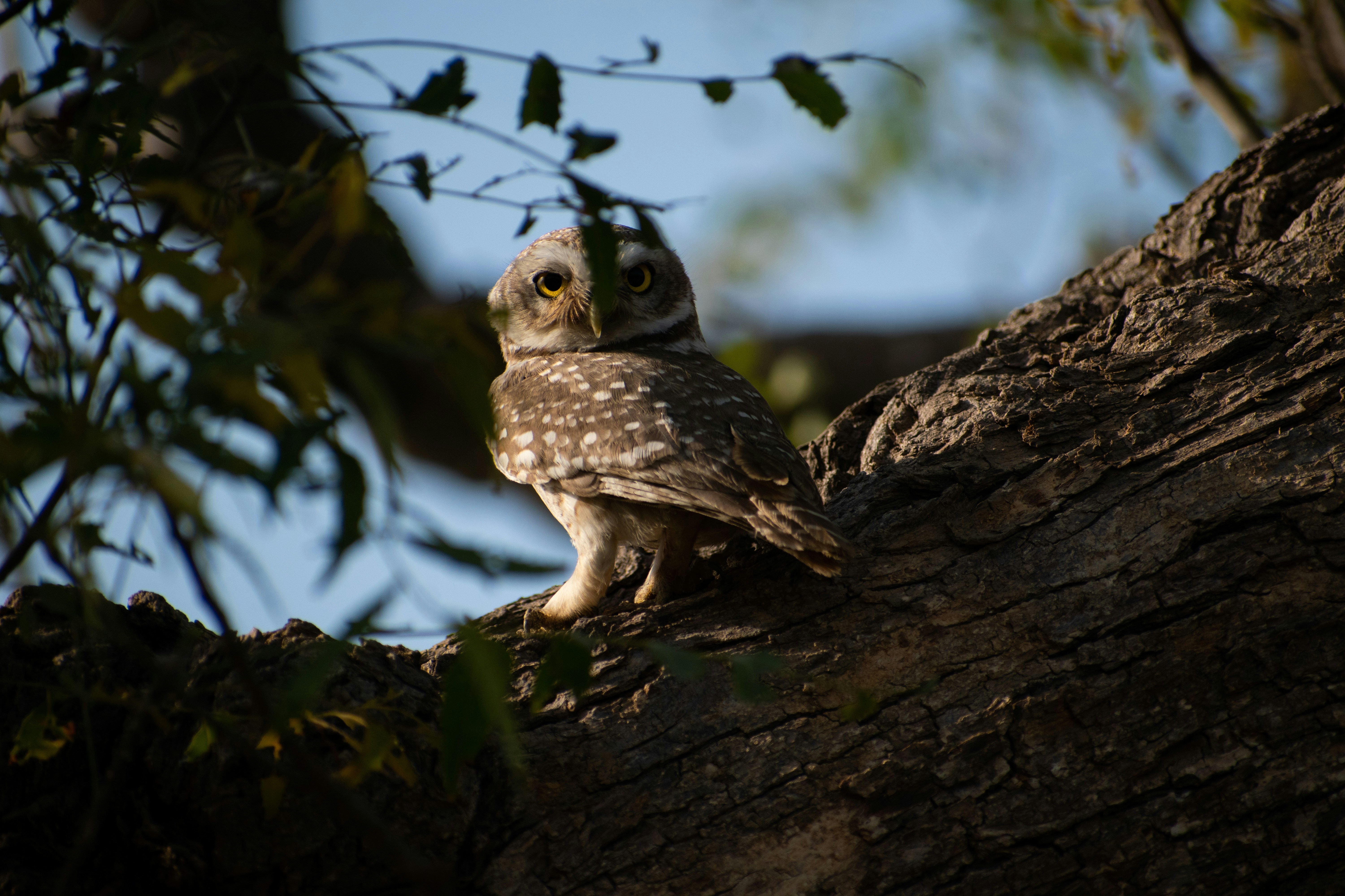Photo by namanjhunjhunwala