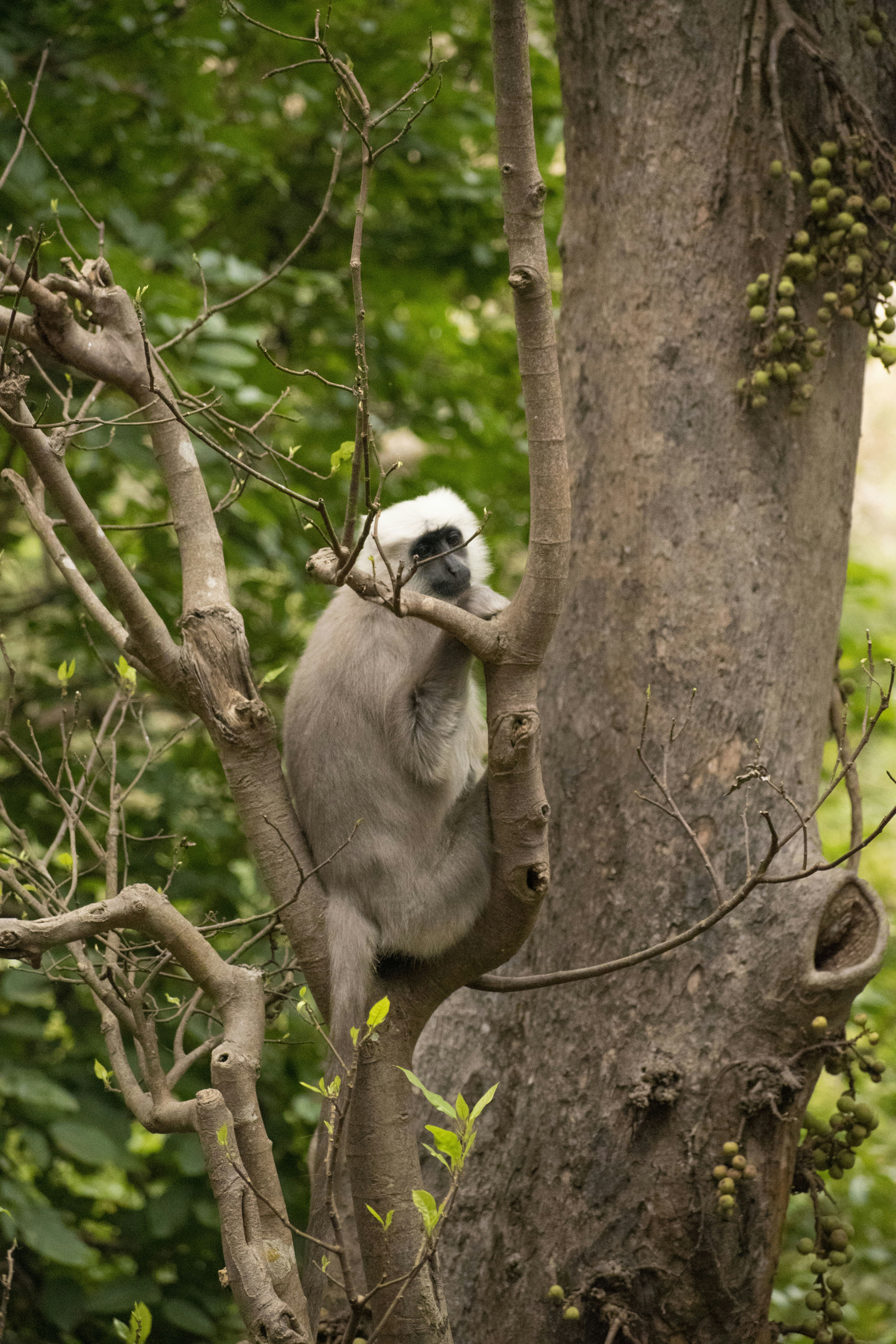 Photo by namanjhunjhunwala