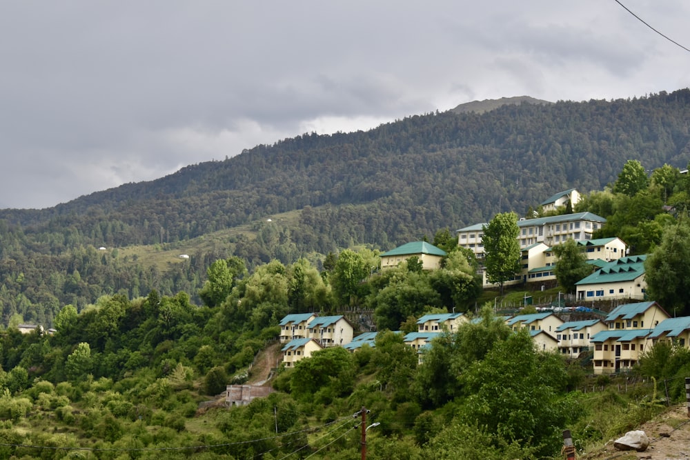 a hill with a bunch of houses on top of it