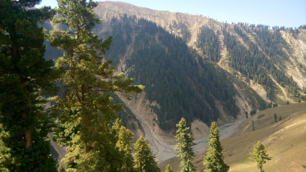 una vista de una montaña con un río que la atraviesa