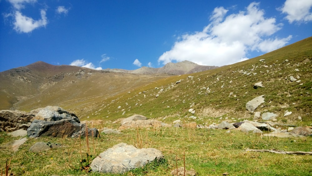 a grassy field with rocks and a mountain in the background