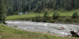 A serene landscape featuring a flowing river with gentle rapids bordered by lush green grass and small rocks. Two quaint houses with green roofs are nestled at the base of a densely forested hill, surrounded by tall pine trees.