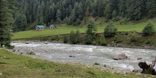 A serene landscape featuring a flowing river with gentle rapids bordered by lush green grass and small rocks. Two quaint houses with green roofs are nestled at the base of a densely forested hill, surrounded by tall pine trees.