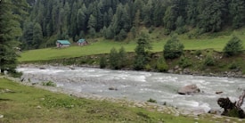 A serene landscape featuring a flowing river with gentle rapids bordered by lush green grass and small rocks. Two quaint houses with green roofs are nestled at the base of a densely forested hill, surrounded by tall pine trees.