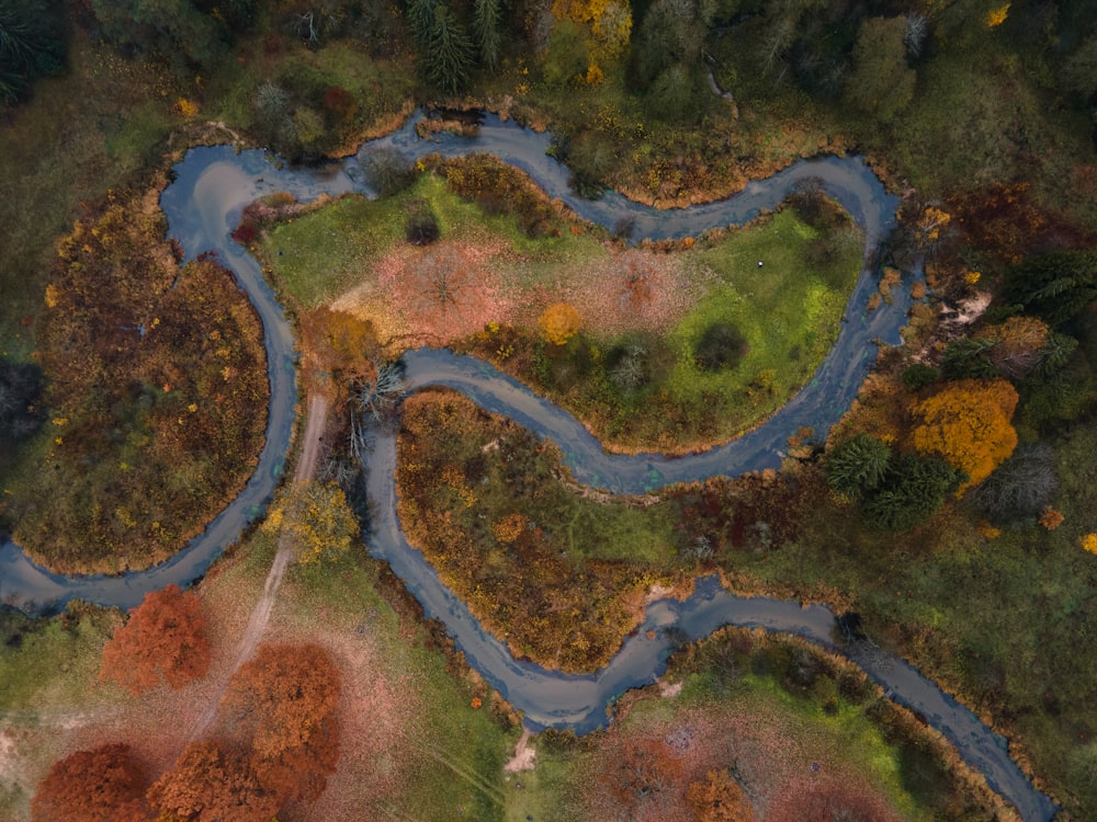 an aerial view of a river running through a forest