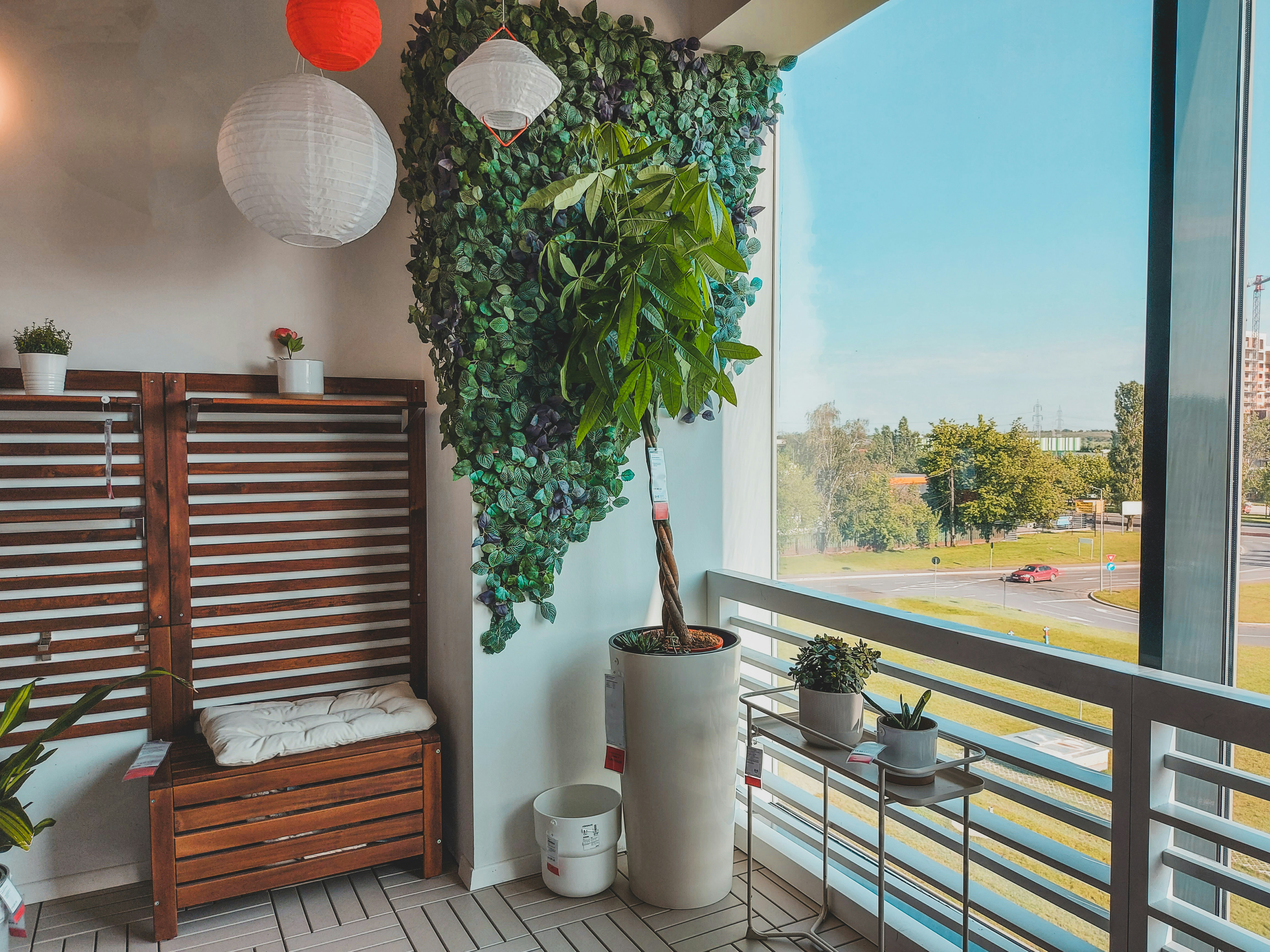 Photo by czapp_arpad