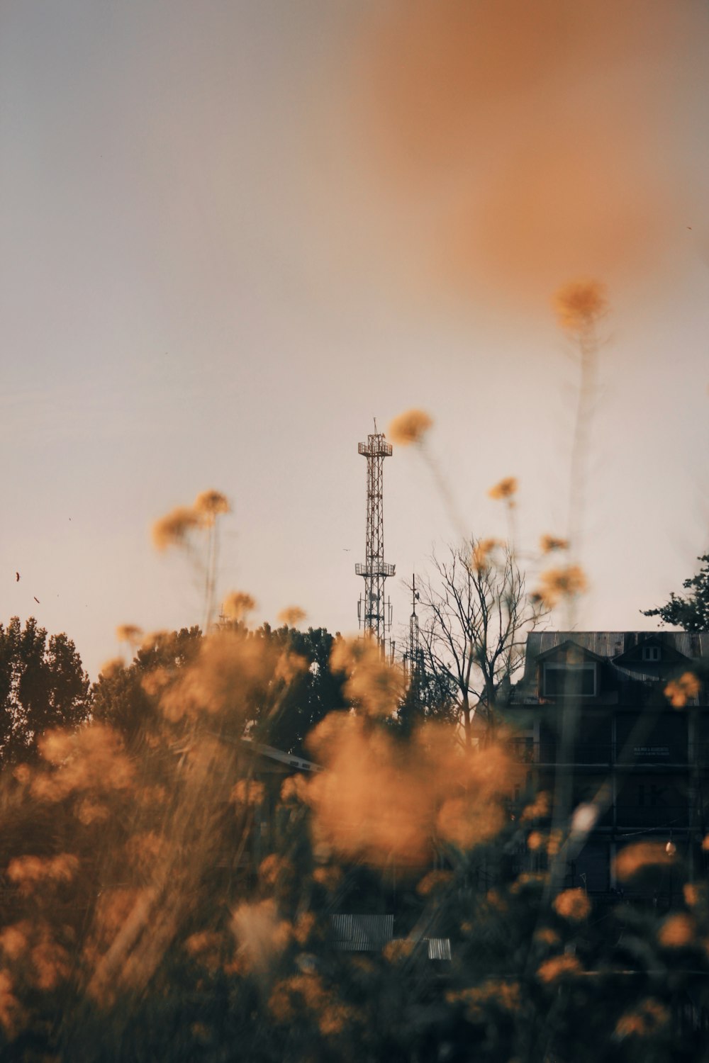 a view of a tall tower in the distance with trees in the foreground