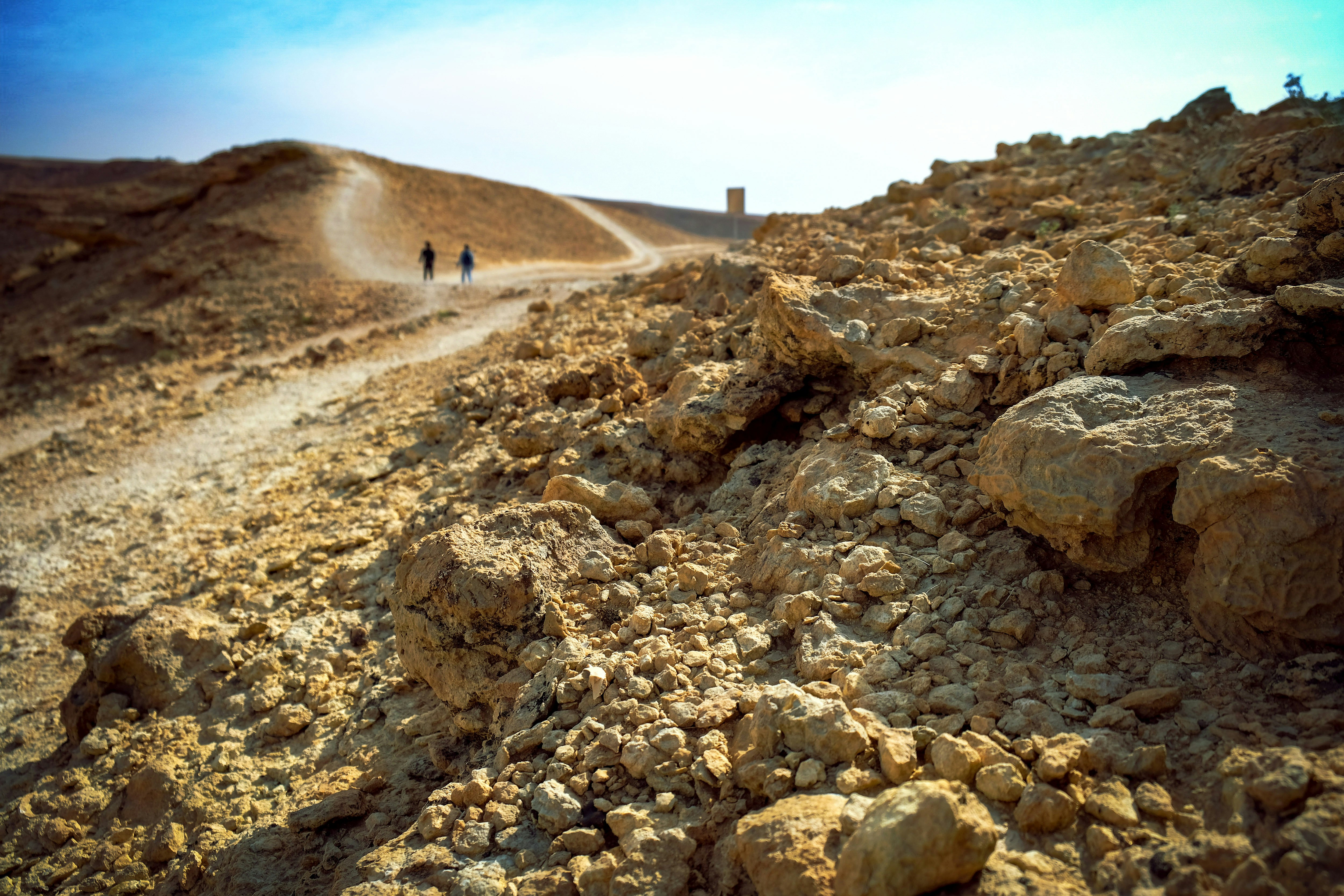 Photo by glenovbrankovic