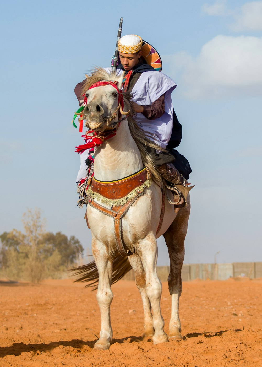a man riding on the back of a white horse