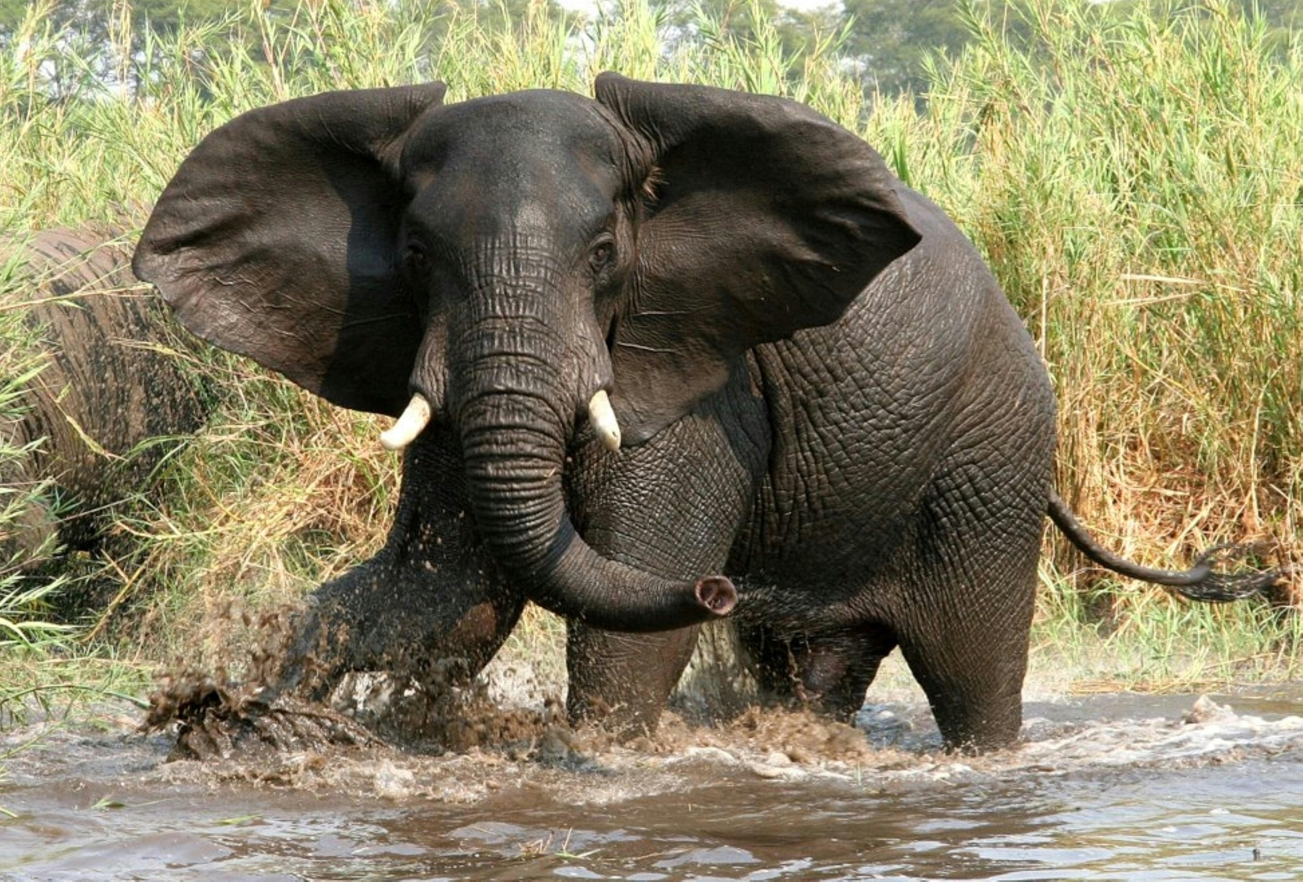 Photo by craigmanners_com