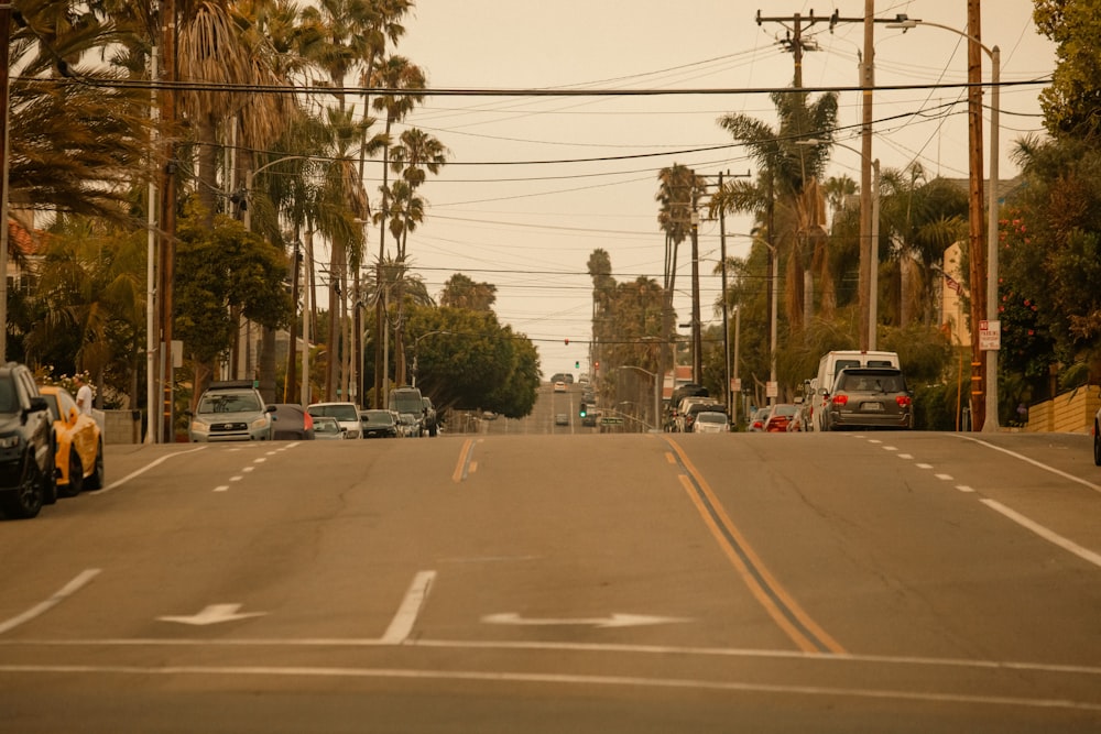 a street filled with lots of traffic next to palm trees