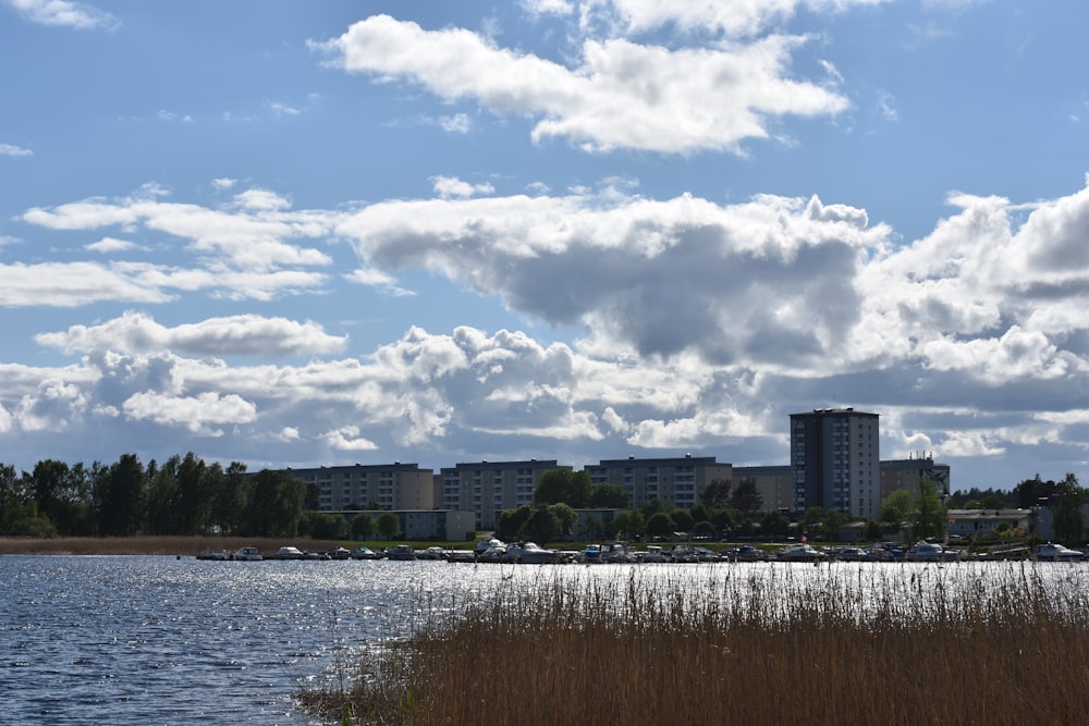 a body of water with a building in the background