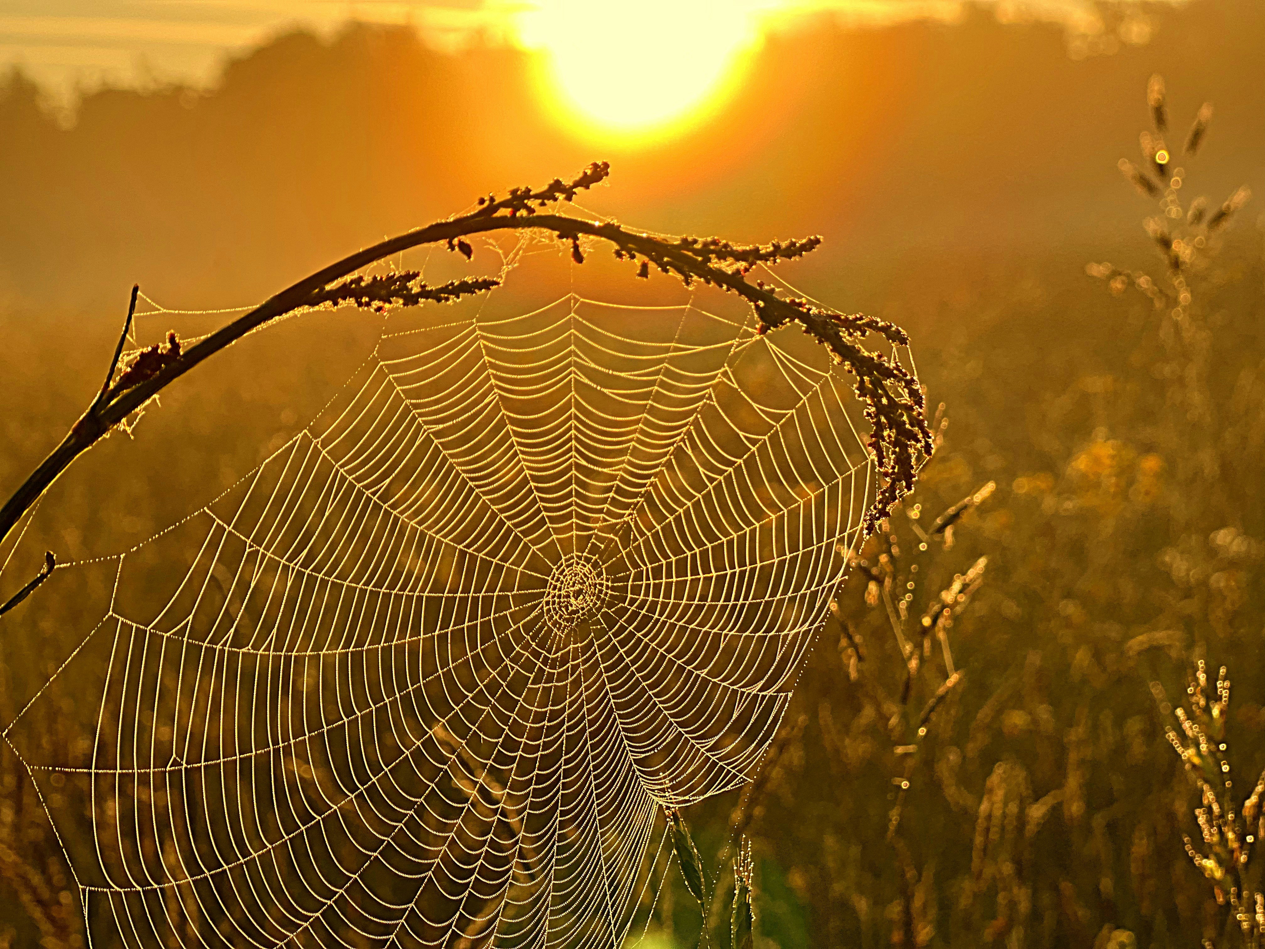 Photo by staceyhfc10