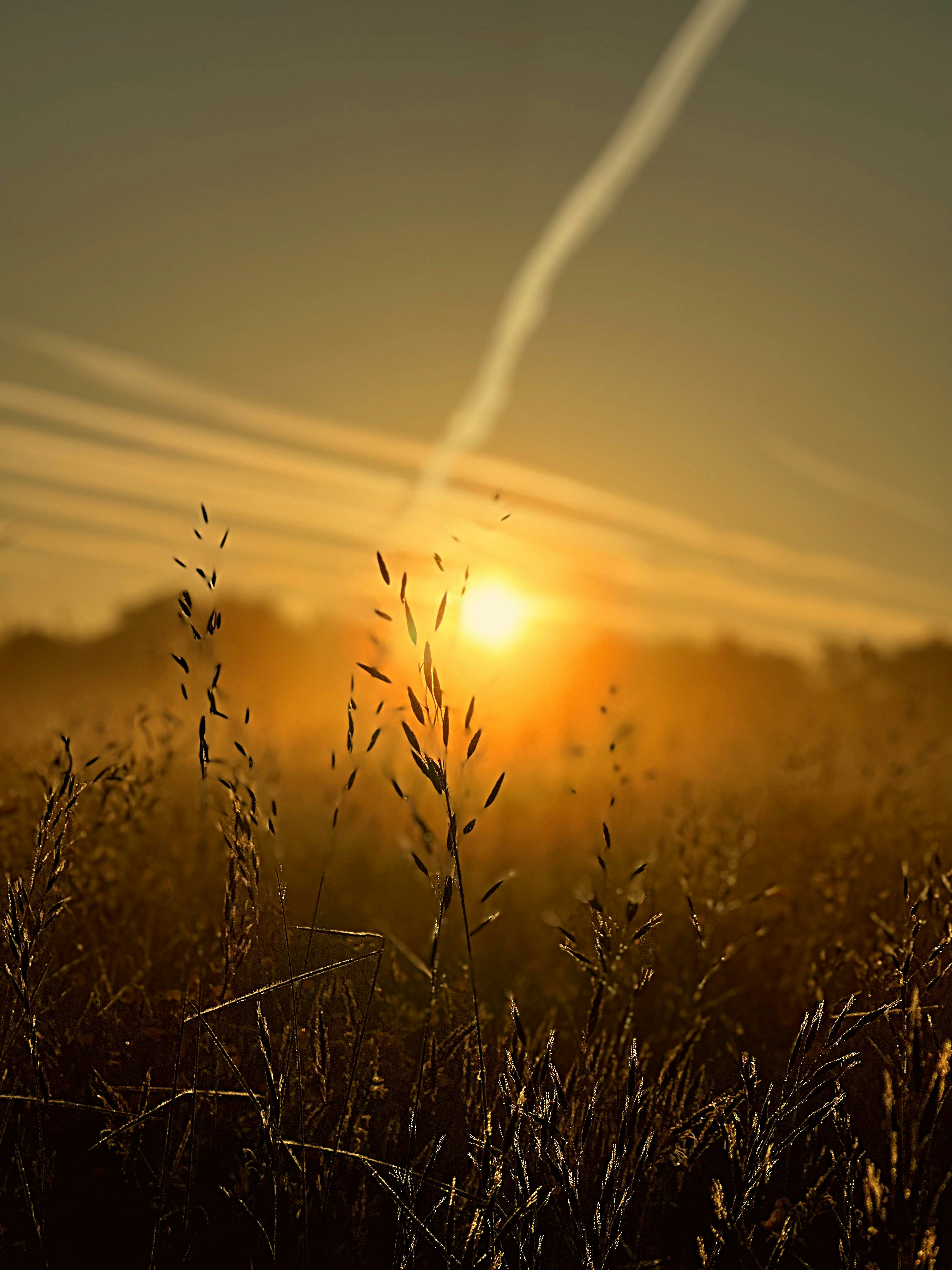 Photo by staceyhfc10