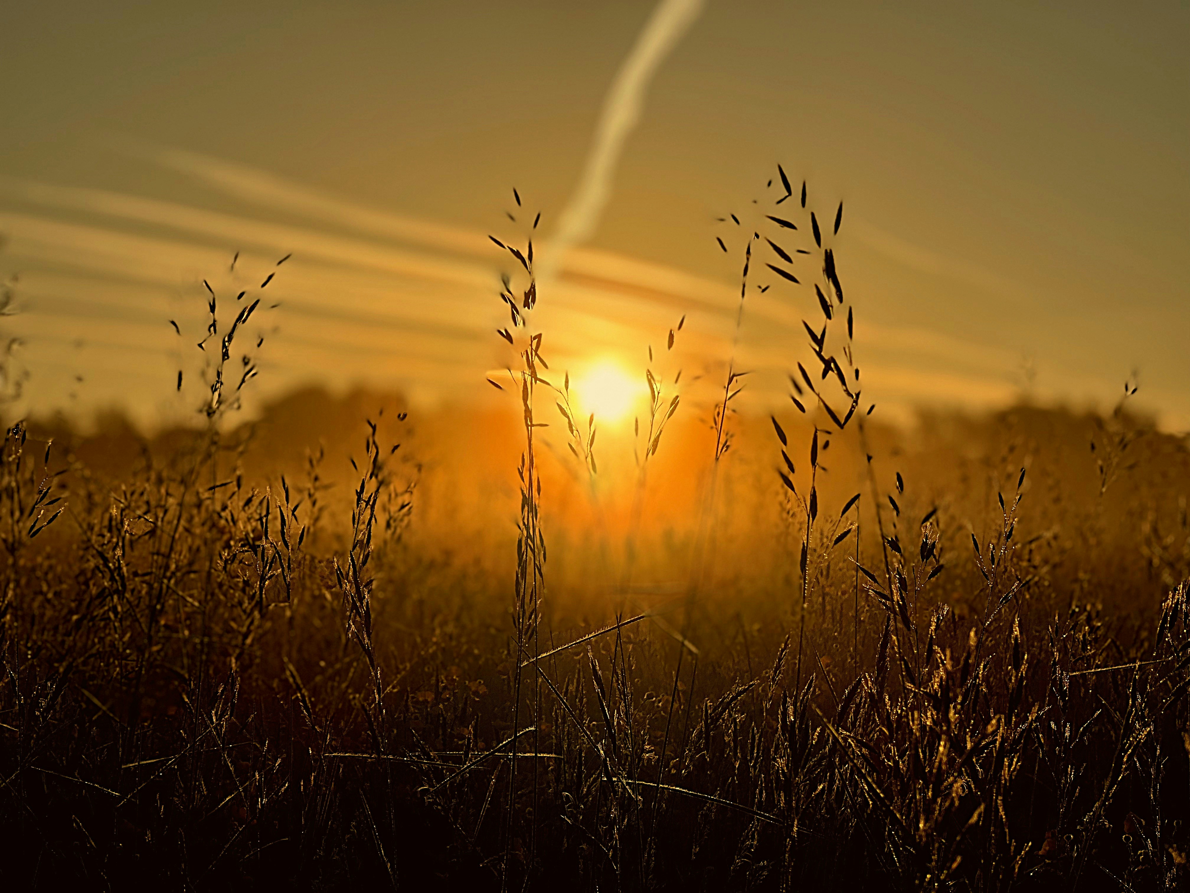 Photo by staceyhfc10