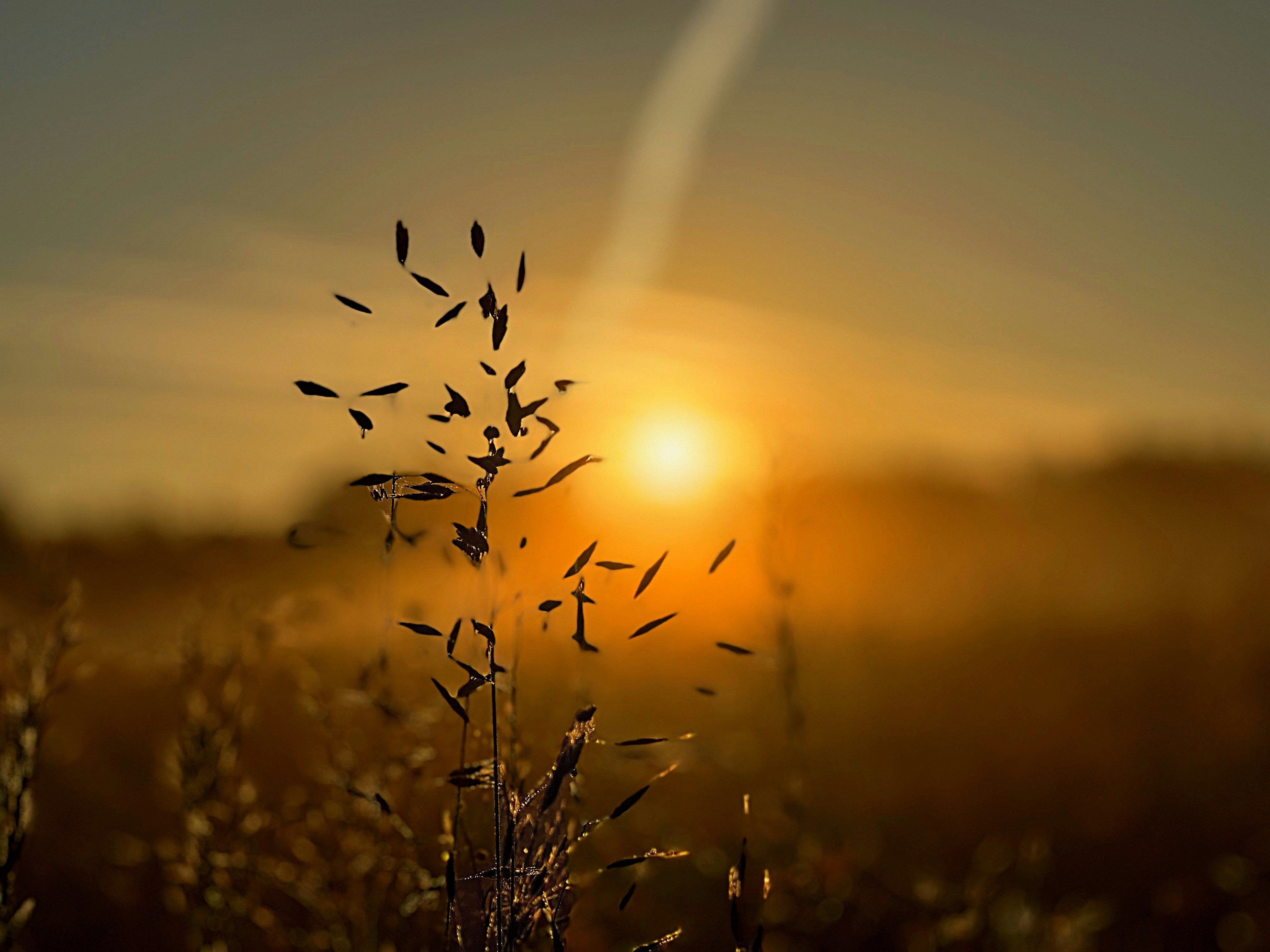 Photo by staceyhfc10