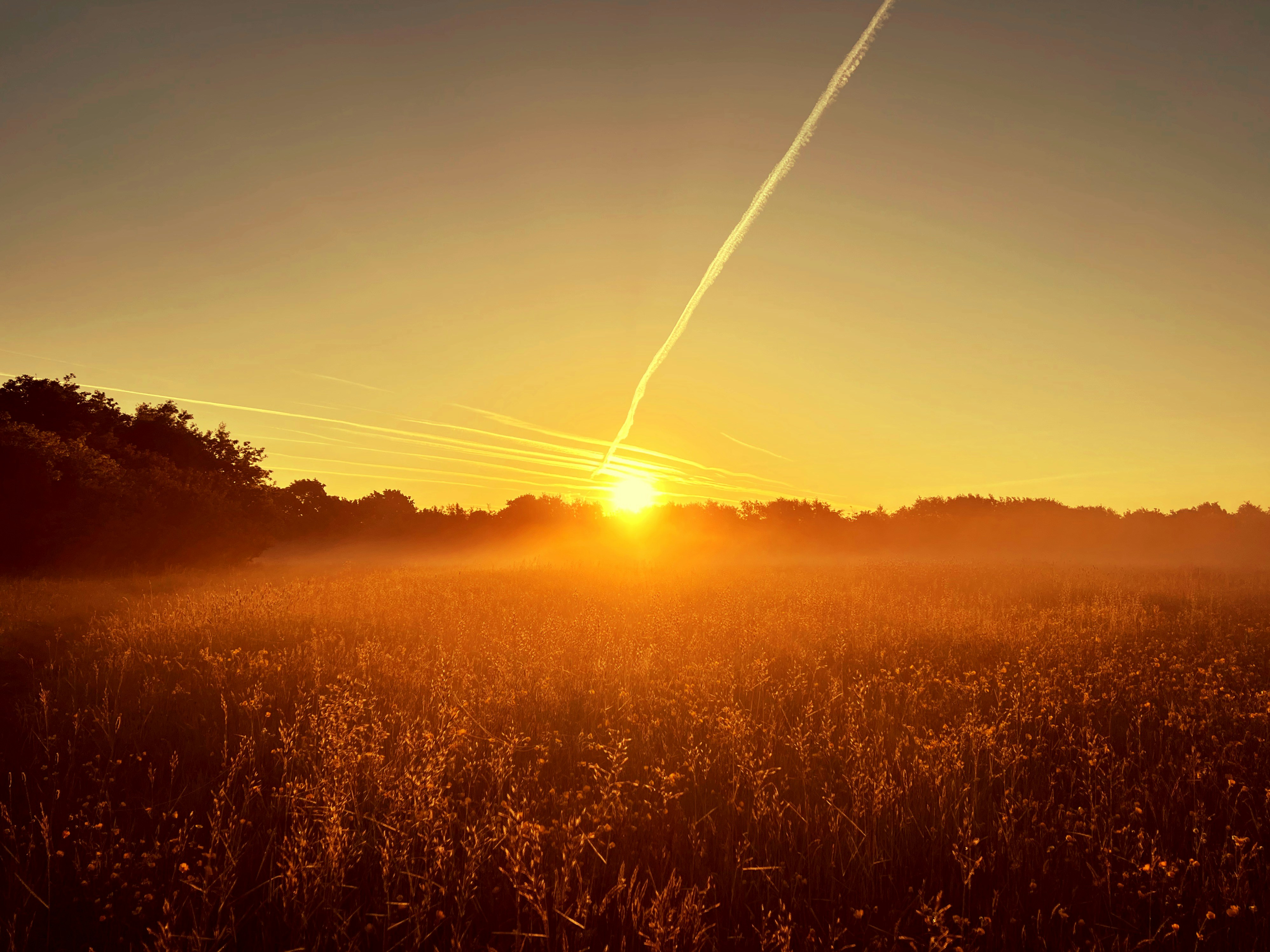 Photo by staceyhfc10