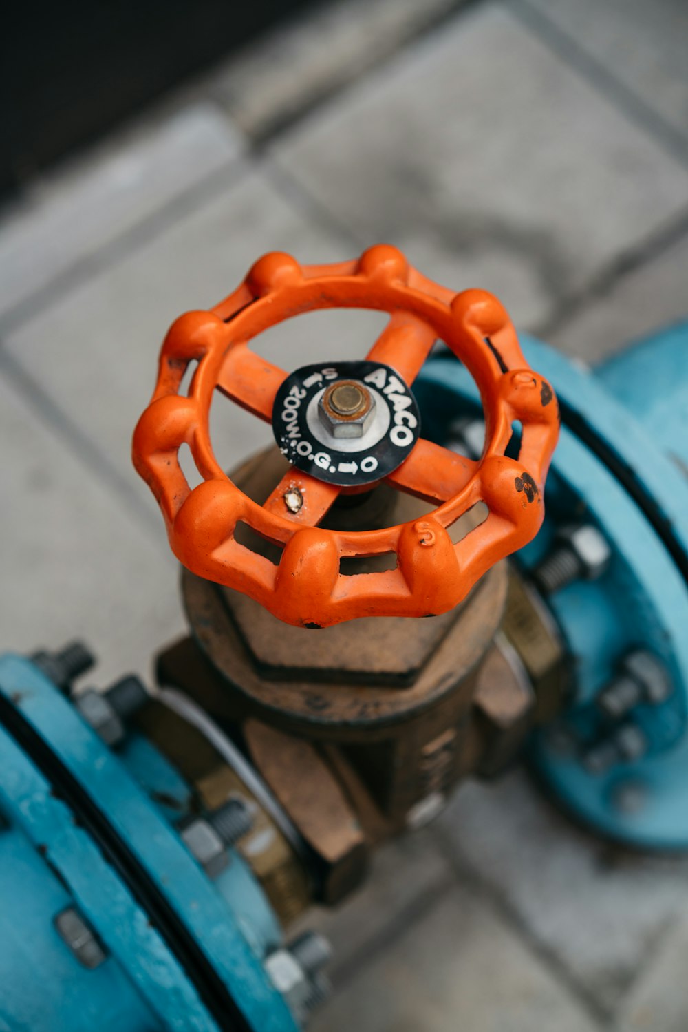 a close up of a blue and orange fire hydrant