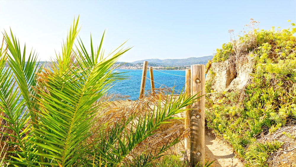 a path leading to a beach with a view of the ocean