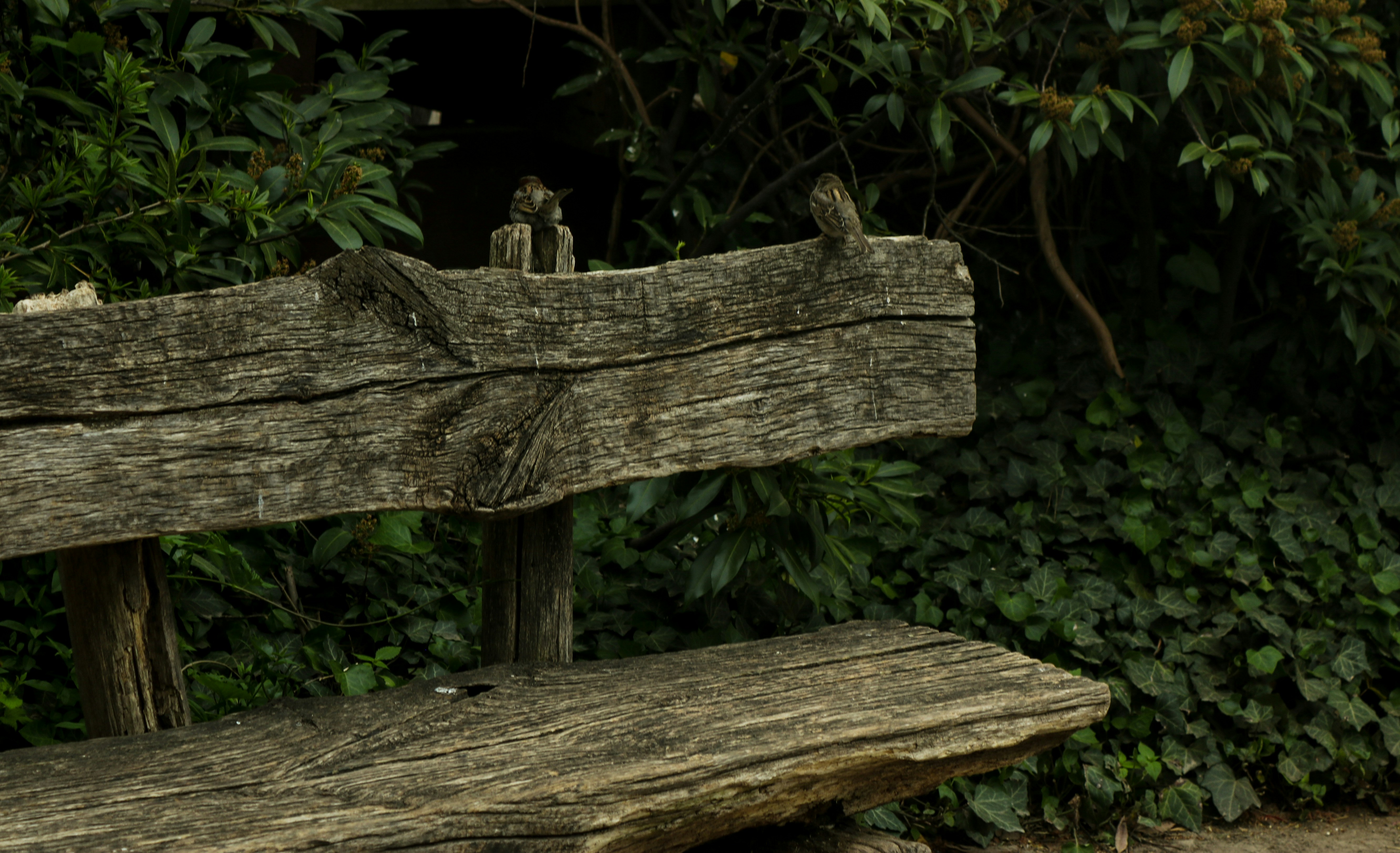 Photo by thee_photography_