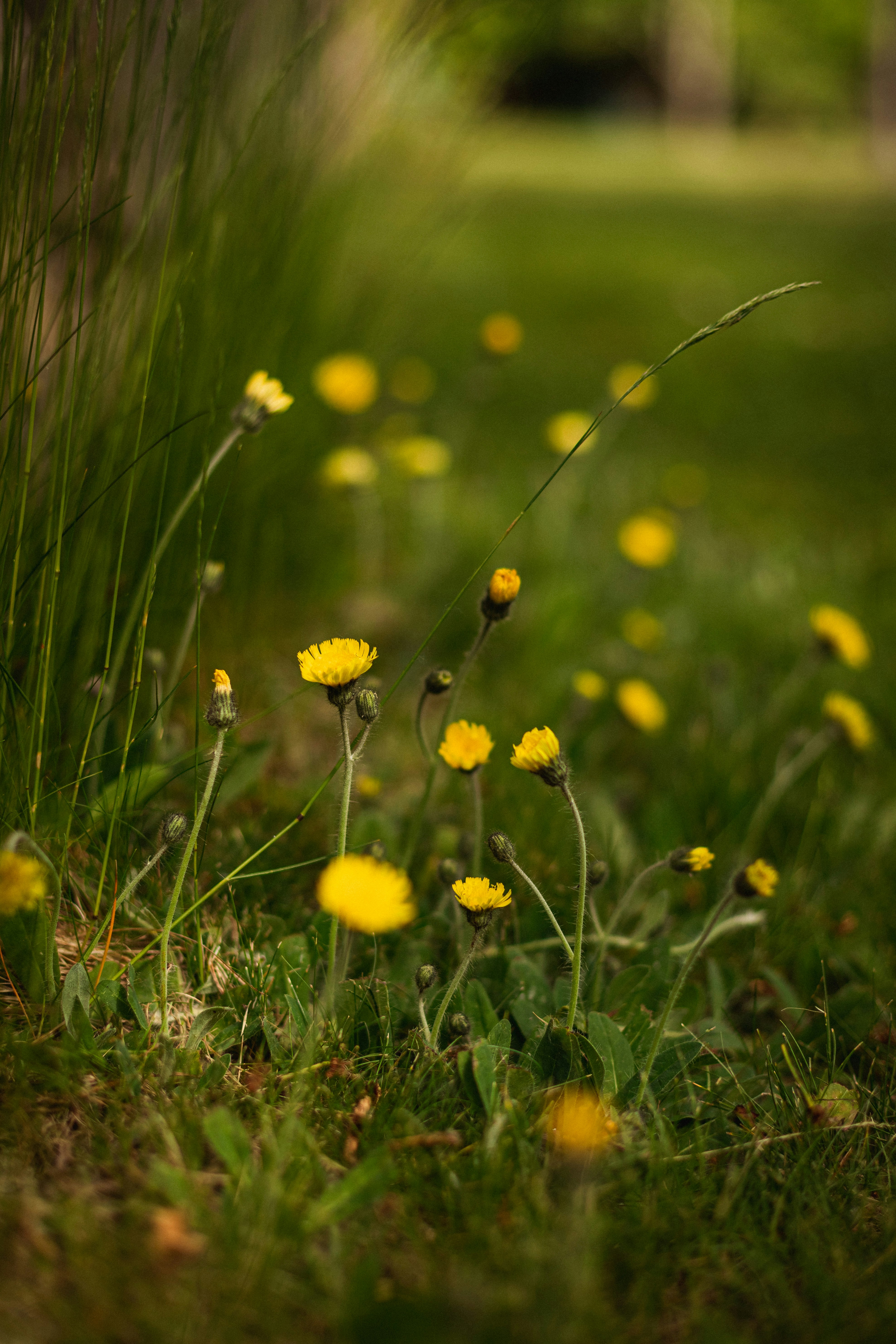 Photo by mykhailokopyt