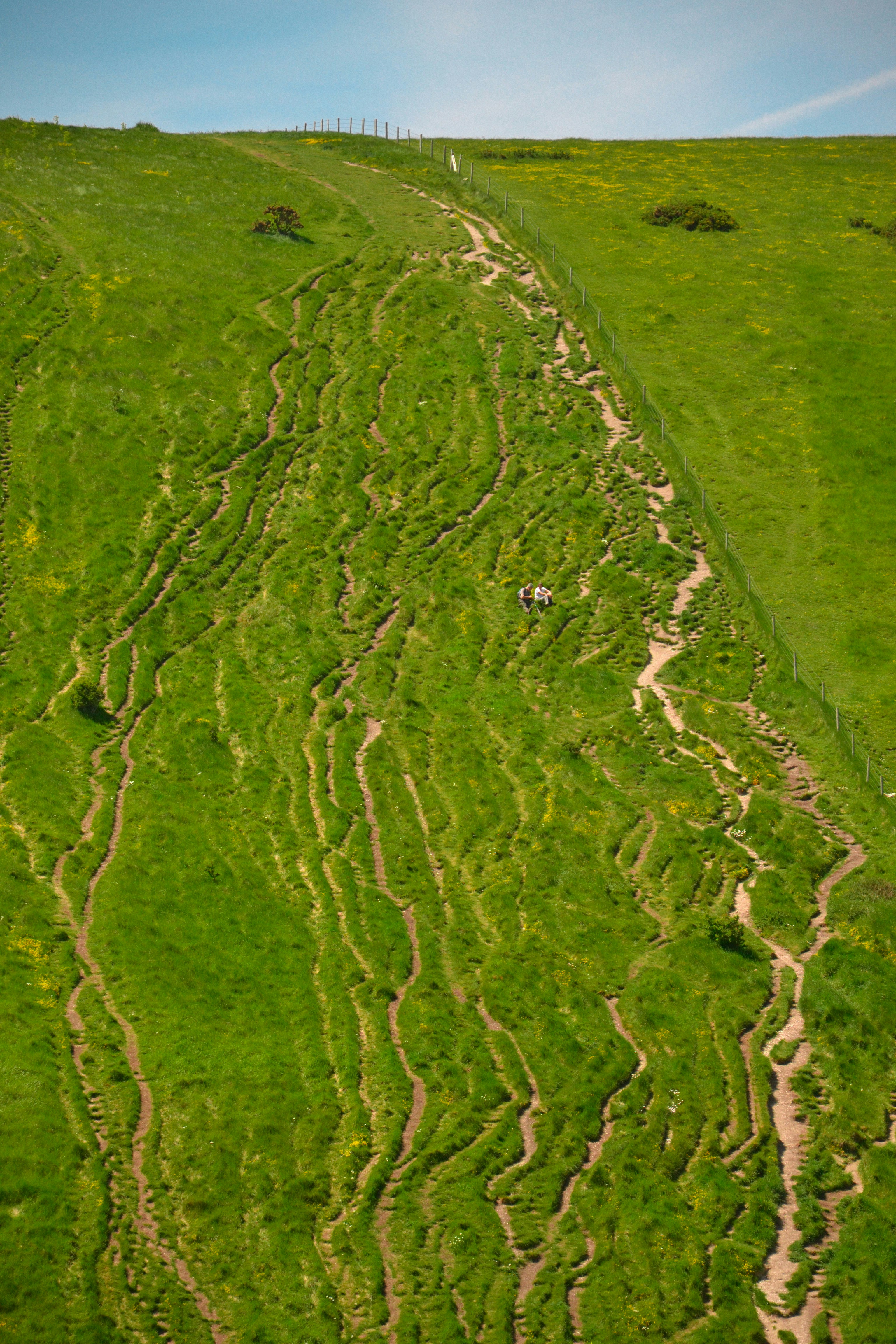 a green field with a dirt path in the middle of it