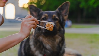 a woman is eating a piece of pizza with a dog in the background