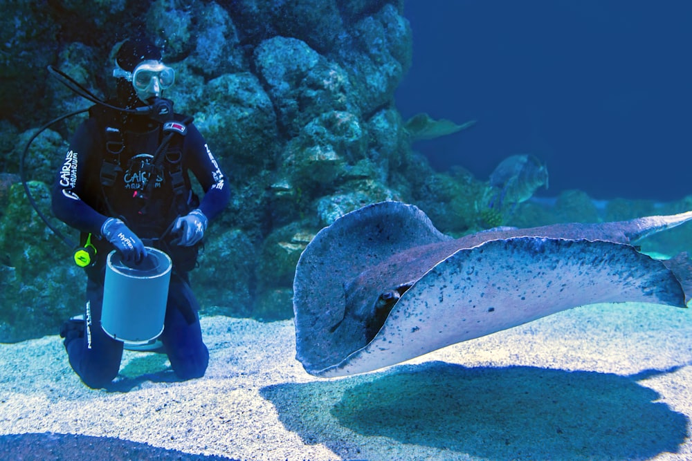 a man in a scuba suit holding a bucket next to a stingfish