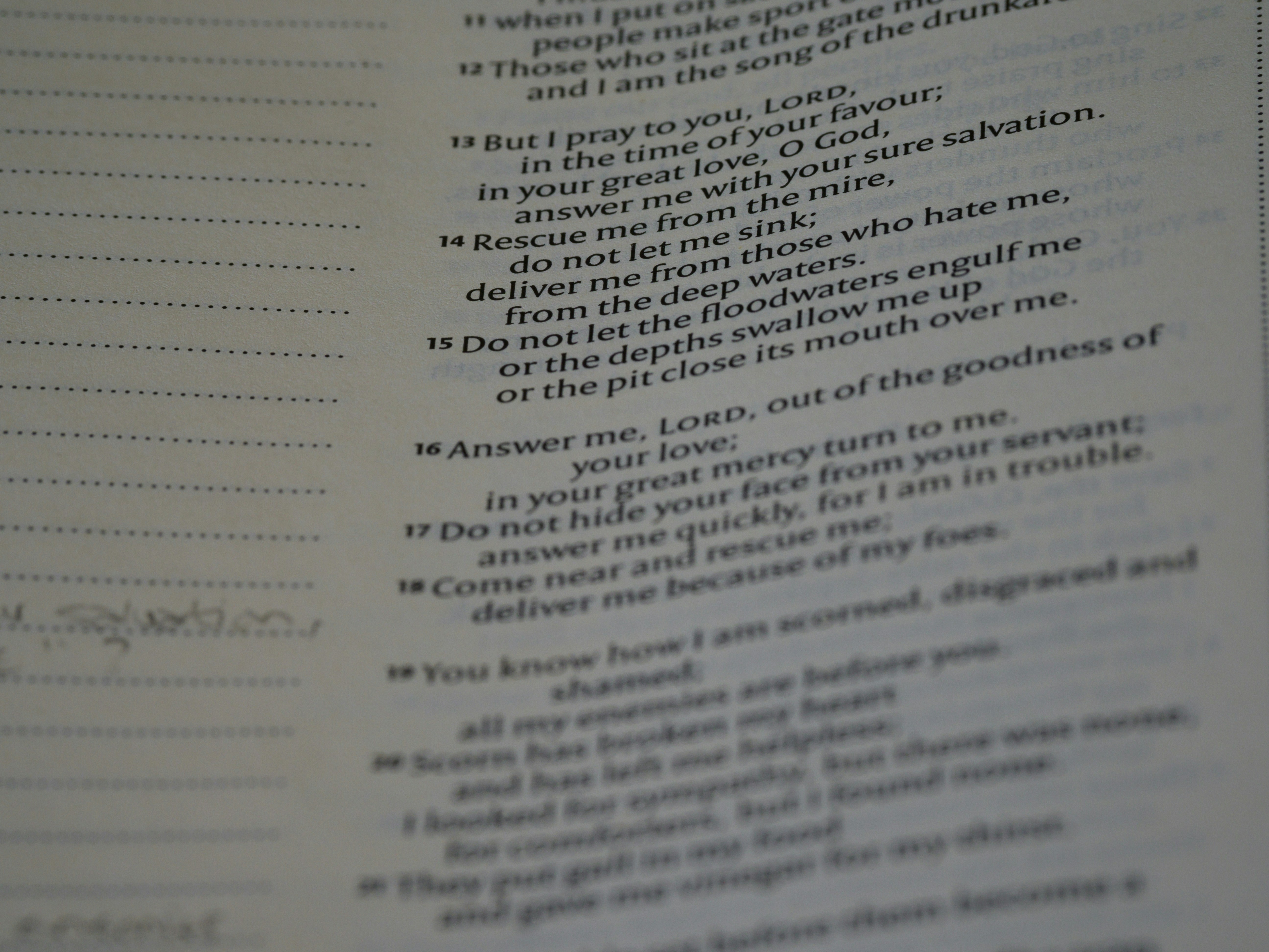 Photo by brett_jordan