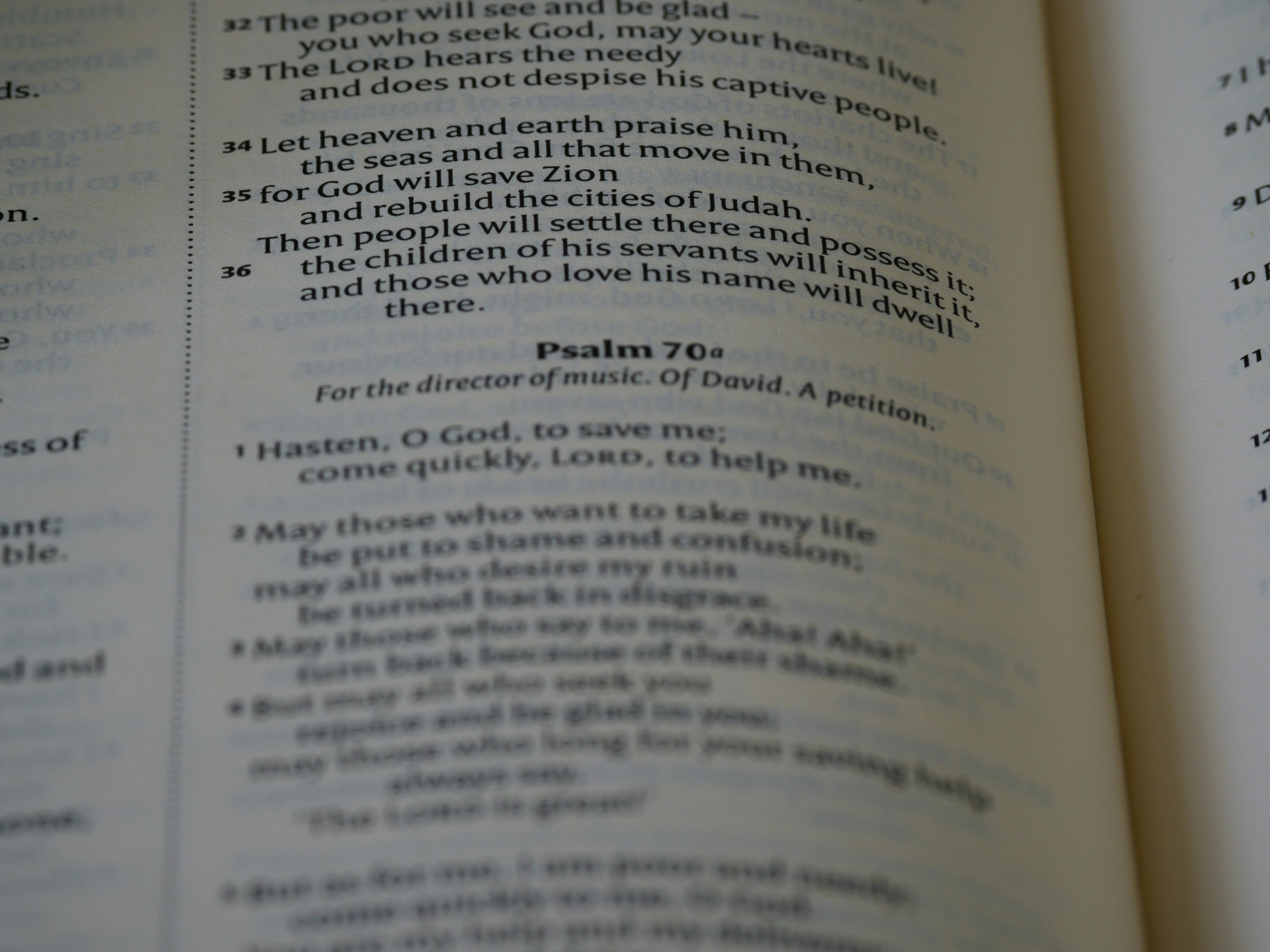close up, bokeh, macro, blur, blurred background, close focus, bible, old testament, hebrew bible, christian, judaism, history, text, reading, bible study, devotions, text, NIV, New International Version, type, typography, canon, christianity, holy scripture, holy bible, scripture, old testament, hebrew bible, תְּהִלִּים, psalms, psalter, ketuvim, writings, tanakh, king david, <br />