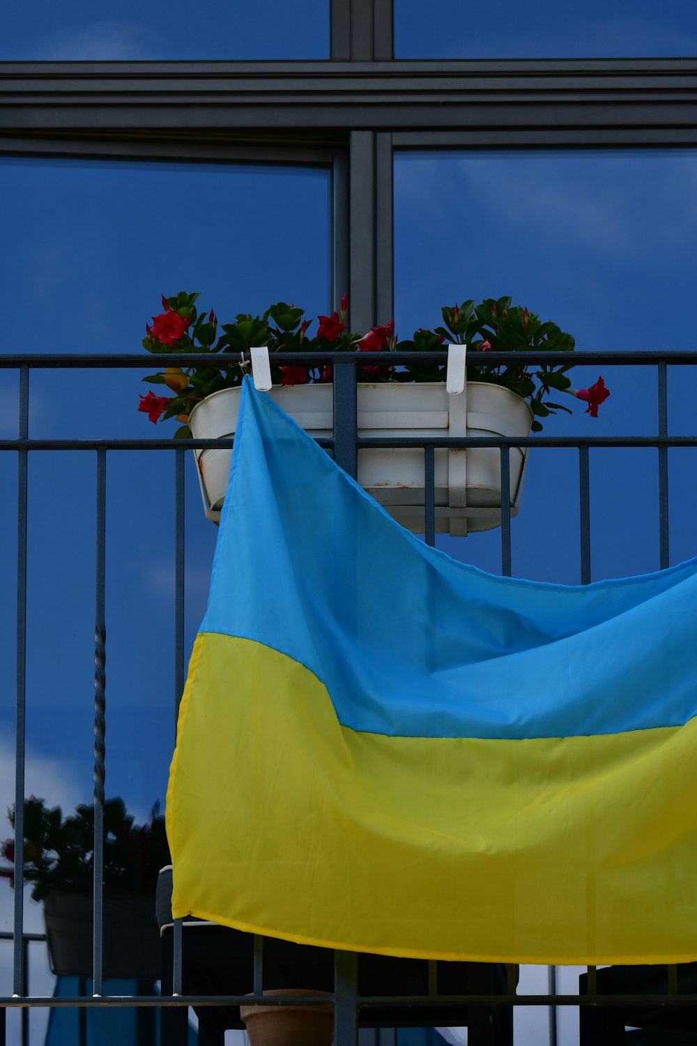 a blue and yellow cloth draped over a potted plant