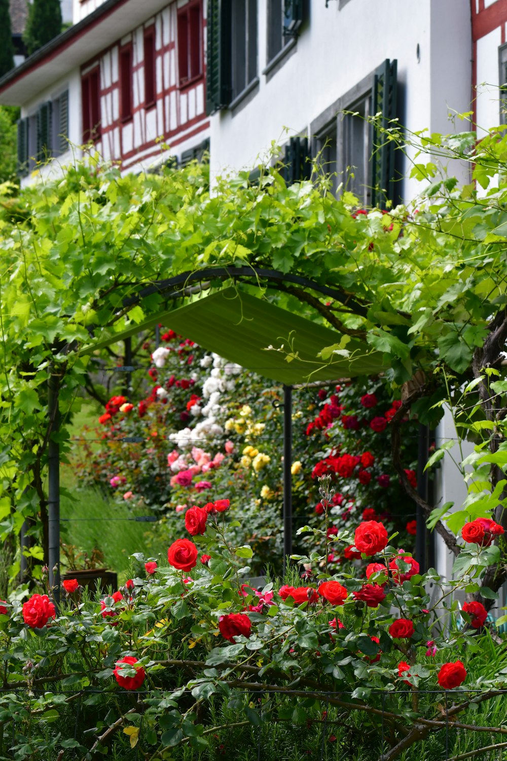 um jardim cheio de muitas flores ao lado de um edifício