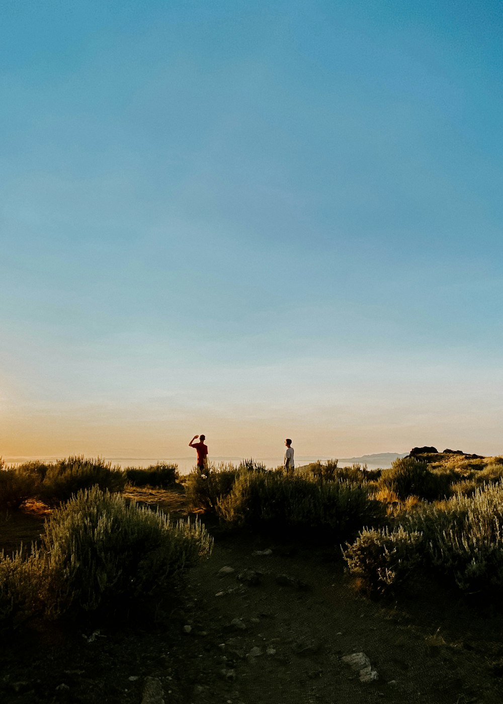 a couple of people standing on top of a lush green field