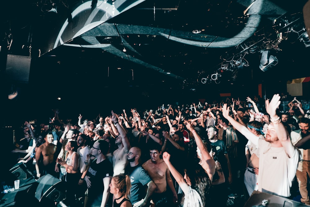 a large group of people at a concert