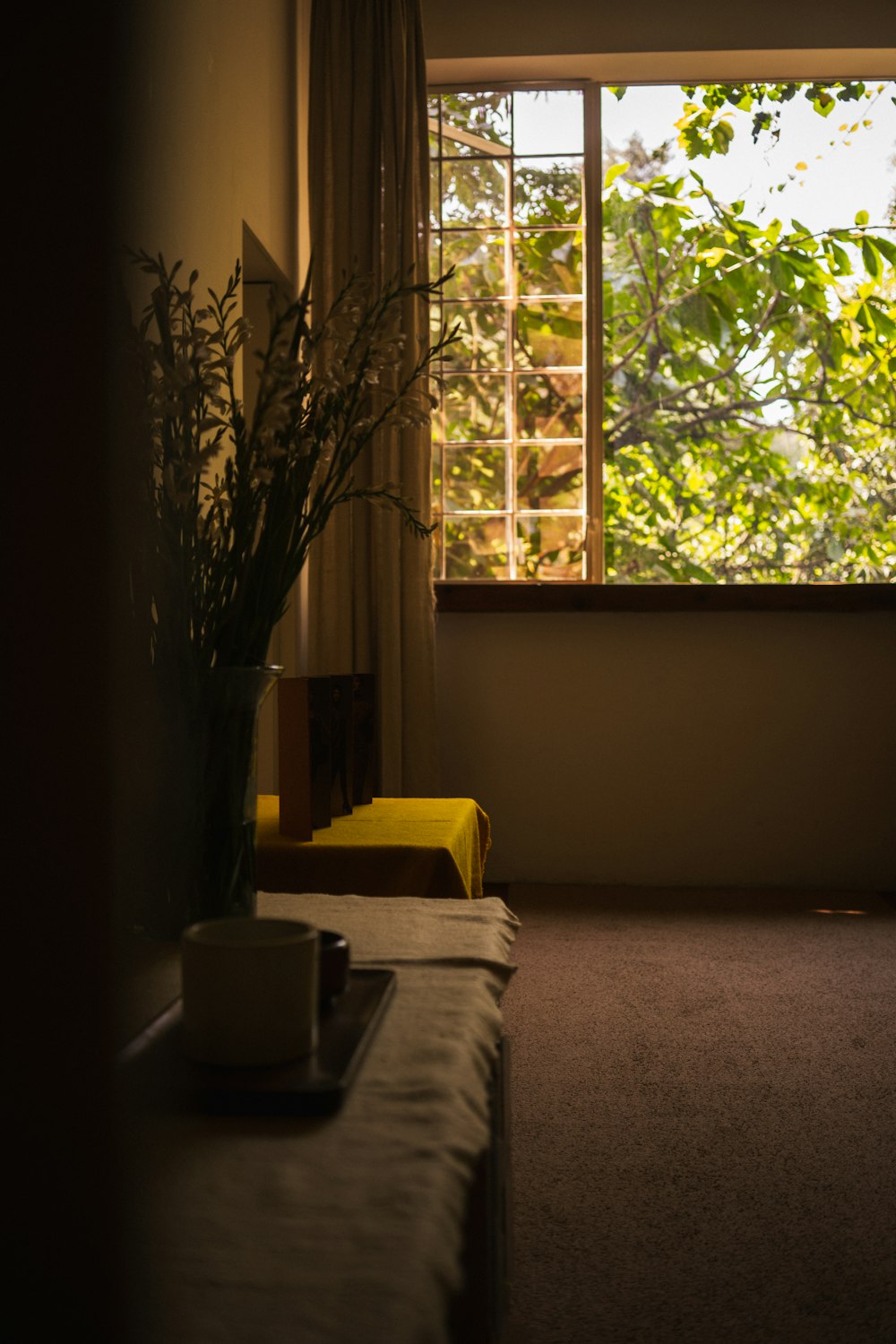a room with a window and a plant in the corner